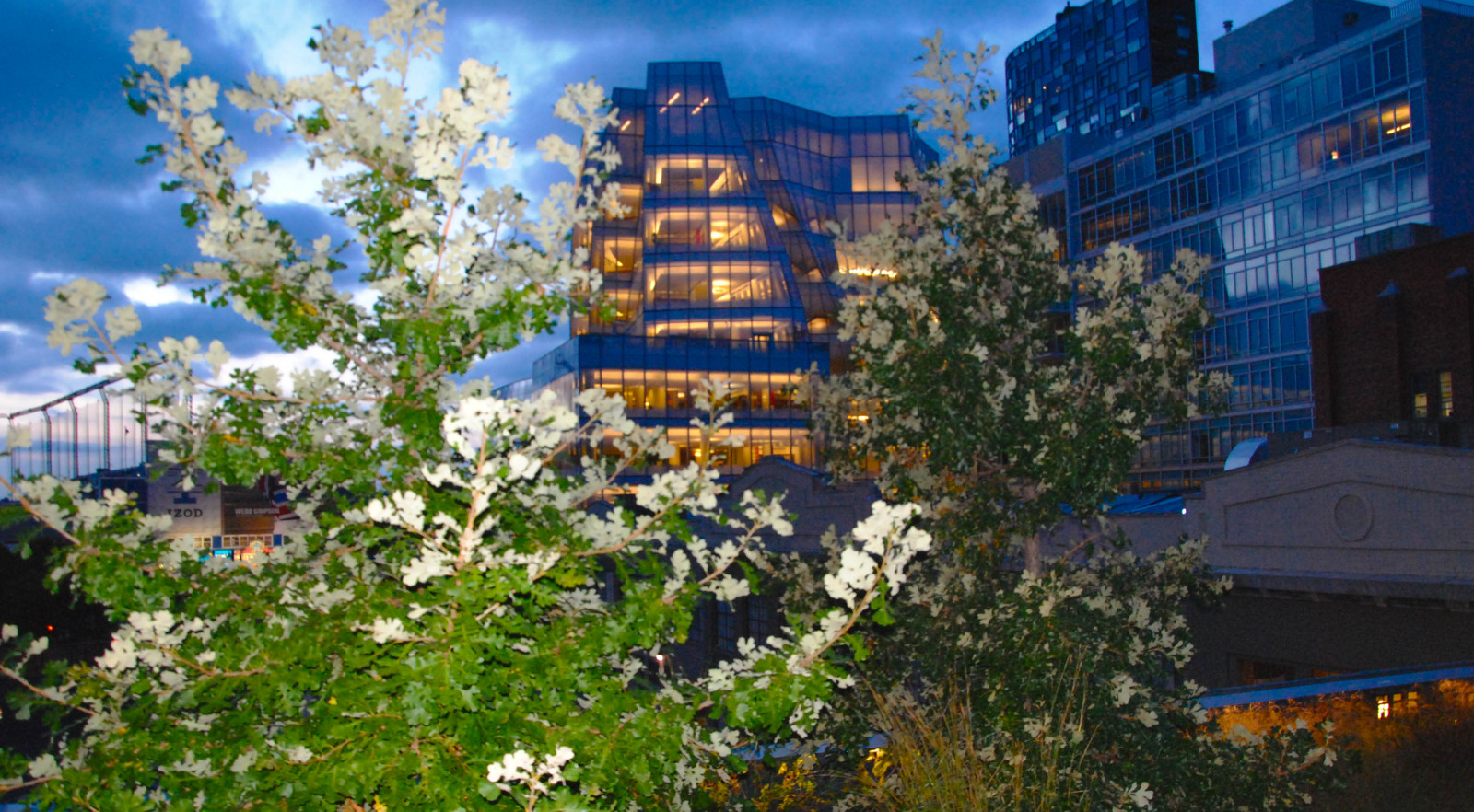 panoráma města, architektura, park, město, letovisko, Manhattan, majetek, květ, newyork, Meatpacking District, railline, západní strana, vysoká lajna, publicpark, iacbuilding, kondominium, Metropolitní oblast, lidské osídlení, sousedství, obytný prostor