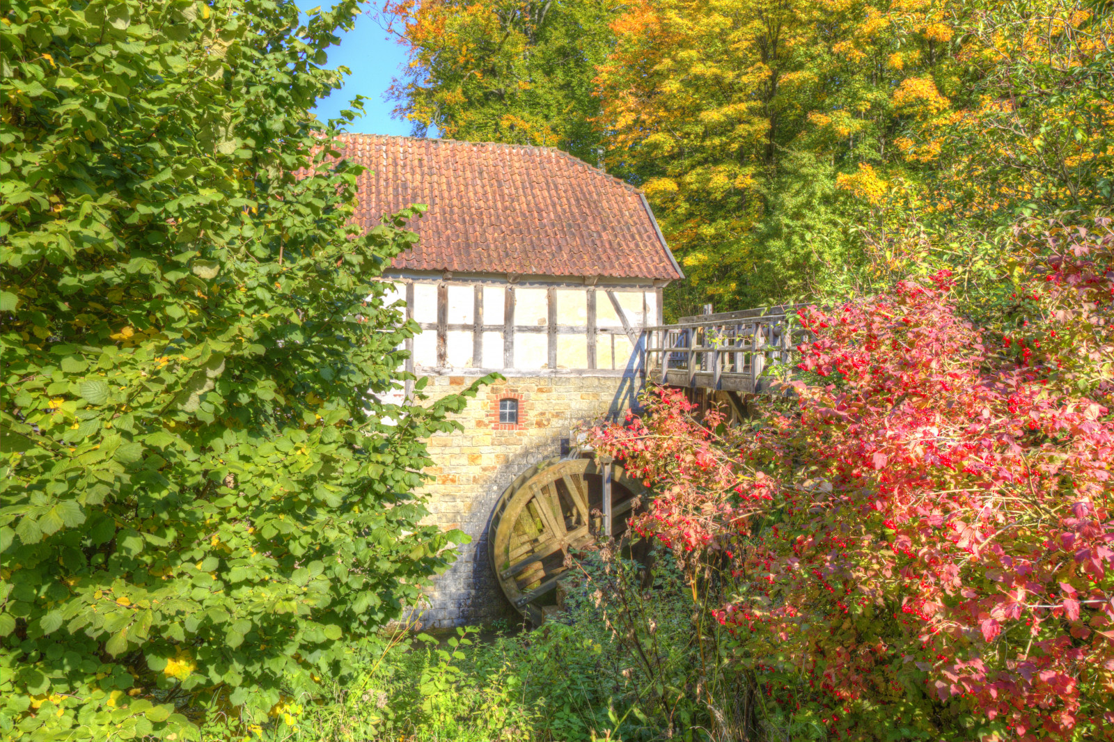 krajina, zahrada, architektura, Příroda, tráva, Dům, Německo, slunce, historický, dějiny, HDR, sova, 2015, jaro, chalupa, majetek, světlo, Krásná, strom, podzim, den, list, Landschaft, květ, rostlina, sezóna, barva, nebe, venkov, natur, deutschland, Soleil, ciel, zajímavý, skvělý, Herbst, mraky, syn, Německo, licht, Photomatix, zpracovává se, historique, kapesní, nRW, westfalen, Ostwestfalen, zálesí, Geschichte, keř, smíšený les, opadavý, LWL, Detmold, christiankortum, Lippe, Freilichtmuseum
