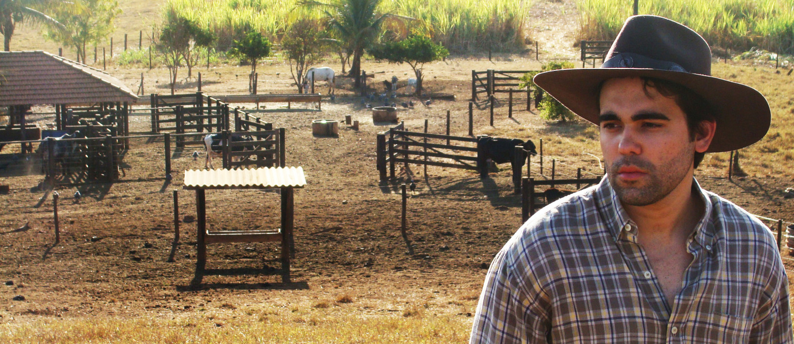 muži, krajina, zvěř, portrét, tráva, čepice, profil, Dům, zelená, hospodařit, Brazílie, Brasil, venkovský, strom, chlapec, rostlina, muž, kovboj, mužský, fauna, rekreace, cerrado, půda, ranč, hezký, Goiania, Goias