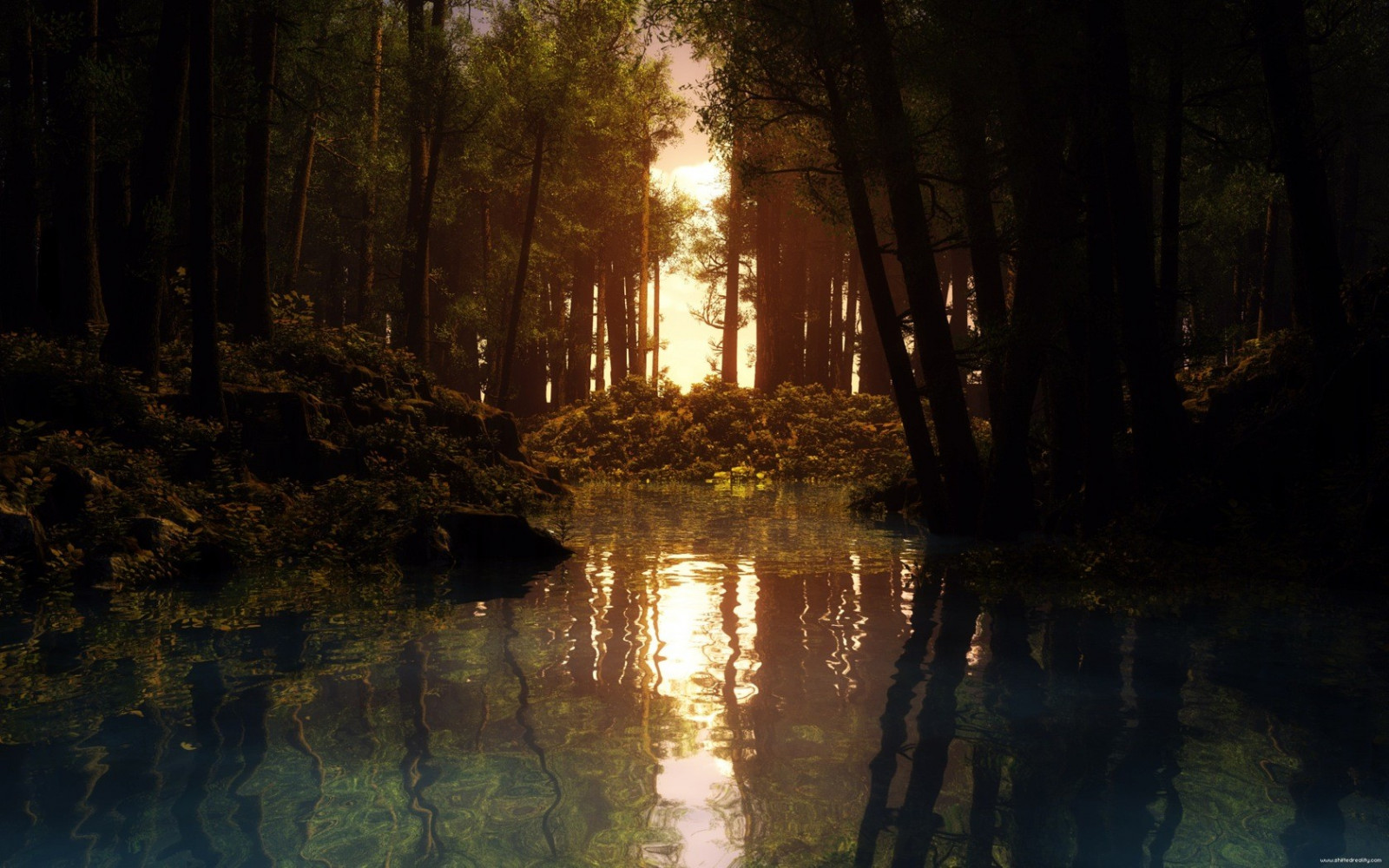 sunlight, forest, sunset, night, water, nature, reflection, CGI, evening, morning, river, creeks, light, tree, autumn, darkness, habitat, natural environment, atmospheric phenomenon, waterway