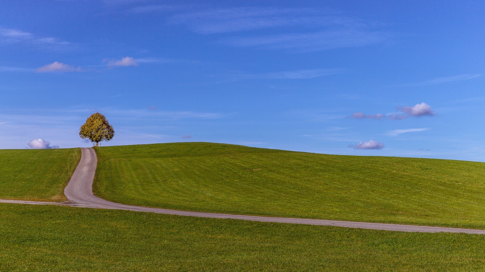 trees, landscape, hill, nature, minimalism, grass, sky, field, road, clouds, wind, horizon, plateau, cloud, mountain, grassland, meadow, plain, 1920x1080 px, prairie, rural area, habitat, natural environment, atmosphere of earth, ecosystem