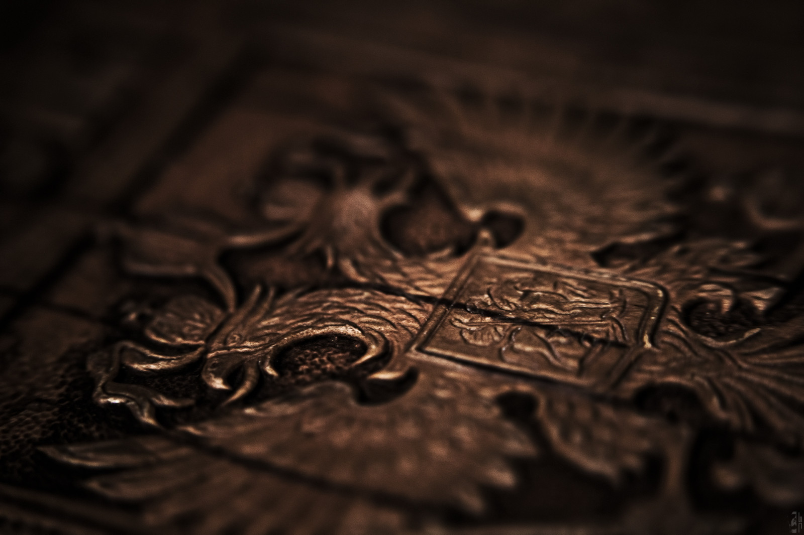 makro, Canon, eos, George, våbenskjold, trække på, ørn, hoved, dobbelt, dække over, bark, krone, birk, dslr, Pas, HDR, spyd, 70d, ishootraw