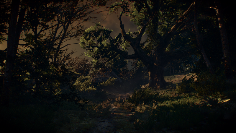 sunlight, forest, video games, night, nature, reflection sunlight, forest, video games, night, nature, reflection