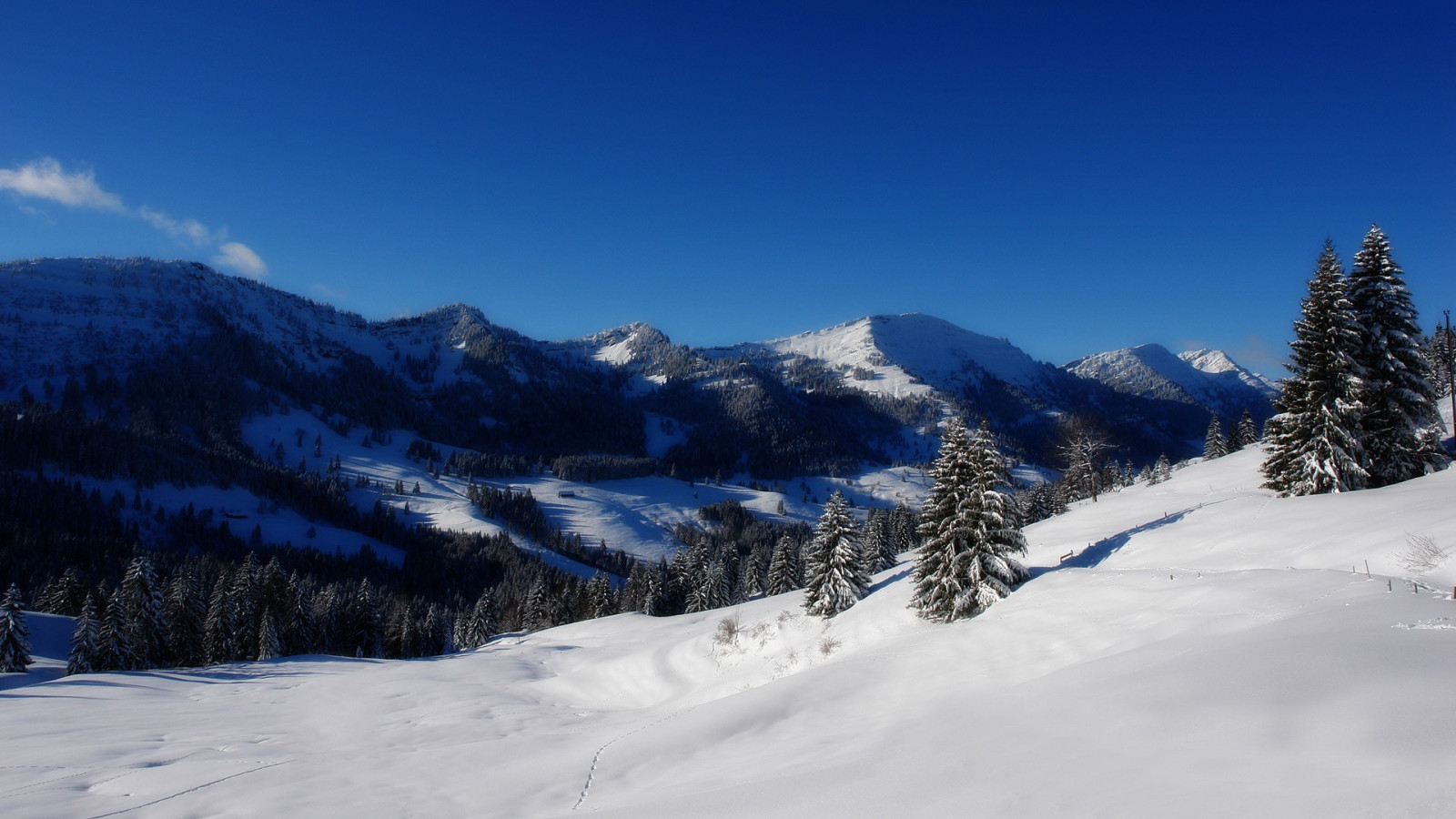 Wallpaper : 1920x1080 px, forest, mountain, nature, snow 1920x1080 ...