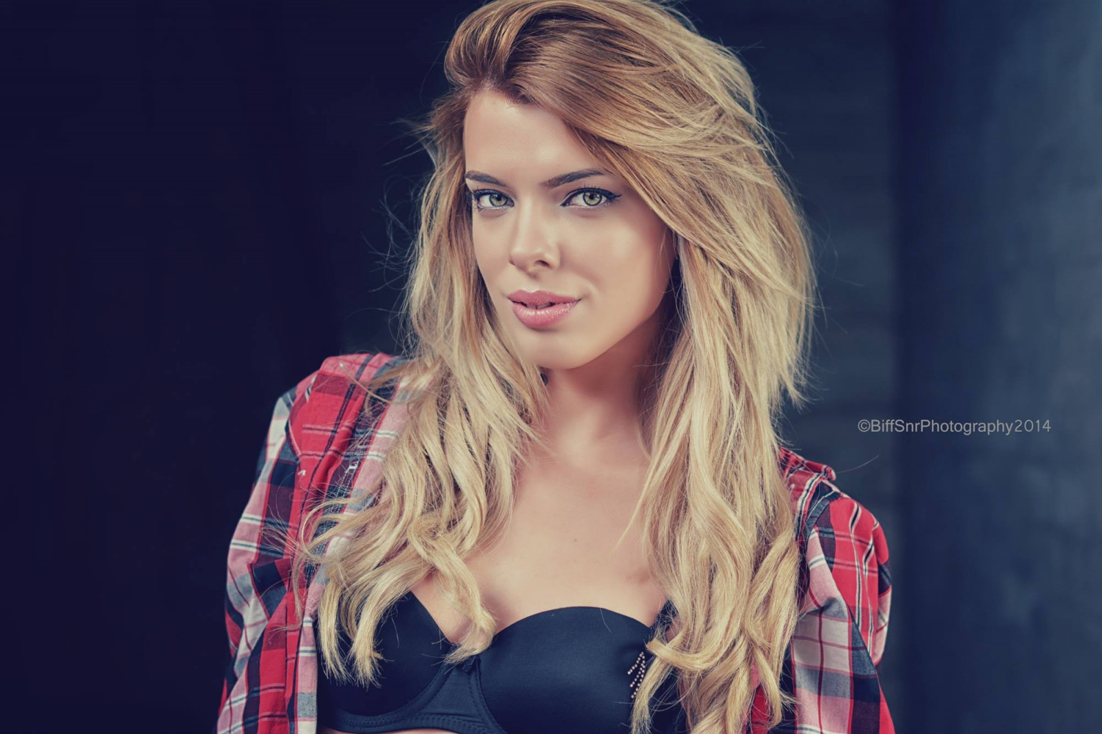 ženy, model, portrét, blondýnka, dlouhé vlasy, při pohledu na diváka, makeup, fotografování, zpěvák, podprsenka, móda, vlasy, Osoba, supermodelka, zpěv, dívka, krása, dáma, blond, účes, portrétní fotografie, focení, hnědé vlasy, písničkář