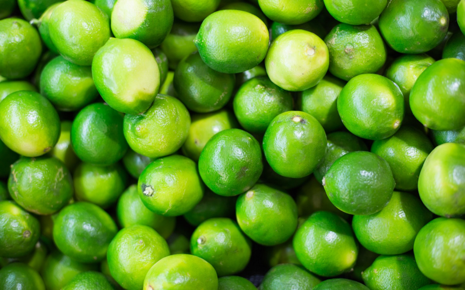 jídlo, pole, ovoce, hrášek, limes, citrus, rostlina, zemědělství, oříznutí, vyrobit, suchozemská rostlina, kvetoucí rostlina, zeleninový, Key Lime