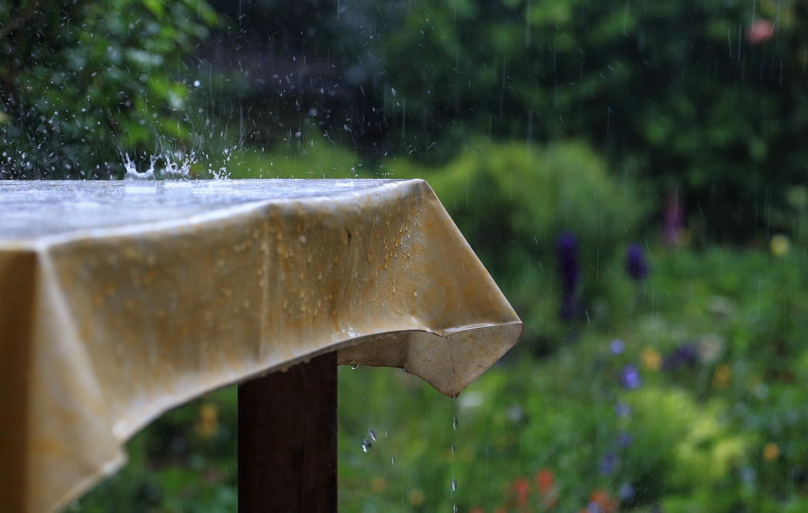 slunečnímu záření, zahrada, voda, Příroda, tráva, rostliny, déšť, stůl, Frankfurt, zelená, ráno, letní, majetek, 2016, Verano, strom, list, rostlina, flóra, natur, terasa, louka, 6d, canoneos6d, letní, rekuperační, tropfen, Zomer, garten, anymotion, terasa, ete, Tisch, vodní zdroje, Dros, Gardenbokeh
