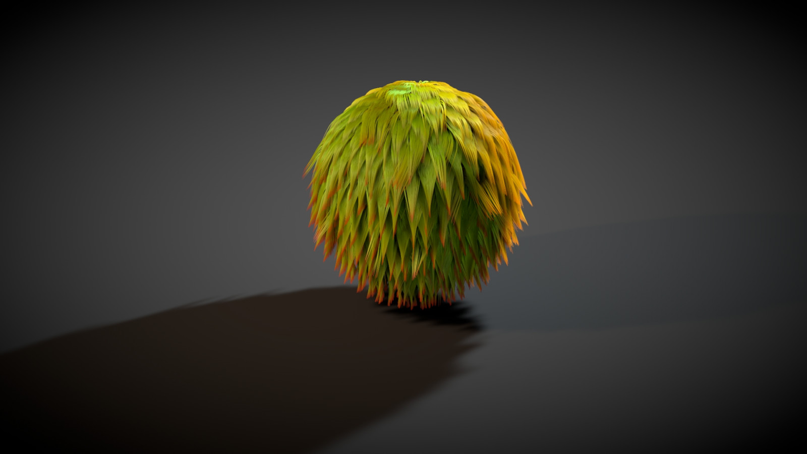 slunečnímu záření, odraz, fotografování, koule, zelená, žlutý, kruh, srst, míč, světlo, barva, strom, list, květ, rostlina, Pozadí, flóra, tvar, načechraný, počítač tapeta, vyrobit, suchozemská rostlina, kvetoucí rostlina, zblízka, makro fotografie, com