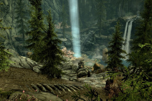 forest6video games6The Elder Scrolls V Skyrim6wilderness6jungle6swamp6rainforest6wetland6Terrain6screenshot6woodland6habitat6natural environment6computer wallpaper6ecosystem6biome6old growth forest