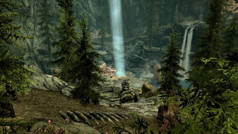 rừng, trò chơi điện tử, Elder Scrolls V Skyrim, Hoang dã, rừng nhiệt đới, đầm lầy rừng, trò chơi điện tử, Elder Scrolls V Skyrim, Hoang dã, rừng nhiệt đới, đầm lầy