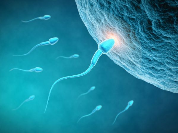 1sperm,2000x1500 px,abstract,abstraction,bokeh,cell