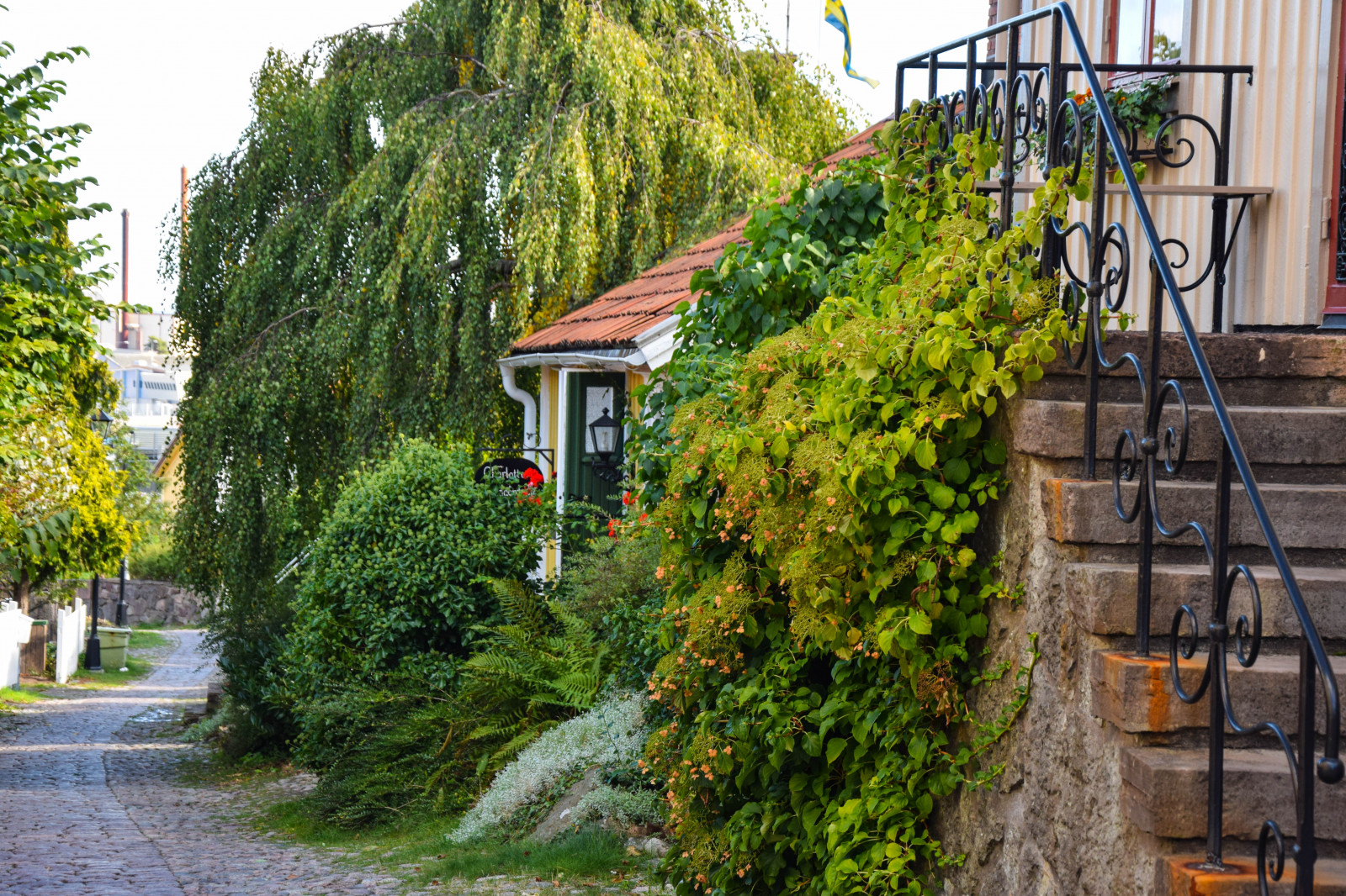 zahrada, město, nebe, mraky, Švédsko, Evropa, majetek, strom, podzim, květ, yard, rostlina, venkovní, alej, domy, cAF, dlažební kostky, sm půdy, woodenhouses, Oskarshamn, besv ret, besv rsgatan, fik, charlottestr dg rdscaf, dřevina, sousedství, keř, nádvoří