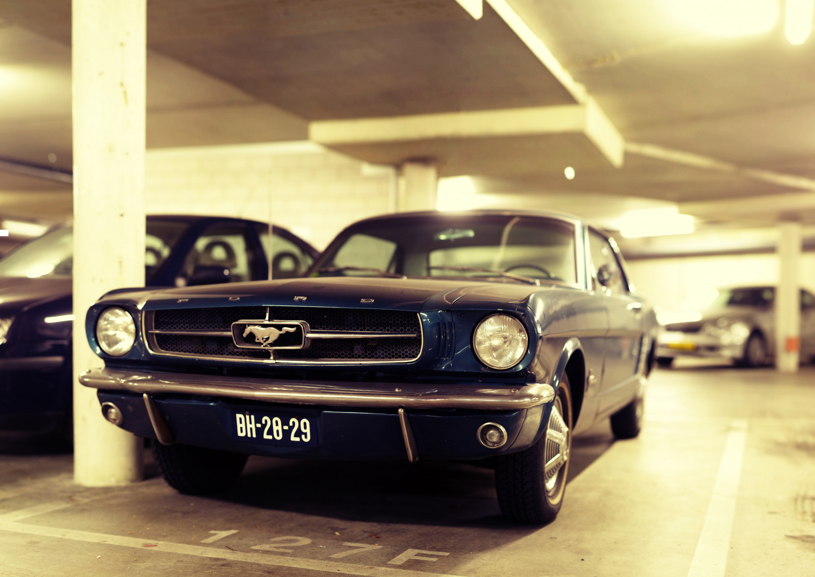 auto, motorové vozidlo, vozidlo, automobilového designu, závoďák, klasická auta, automobilový exteriér, klasický, První generace Ford Mustang, Brod