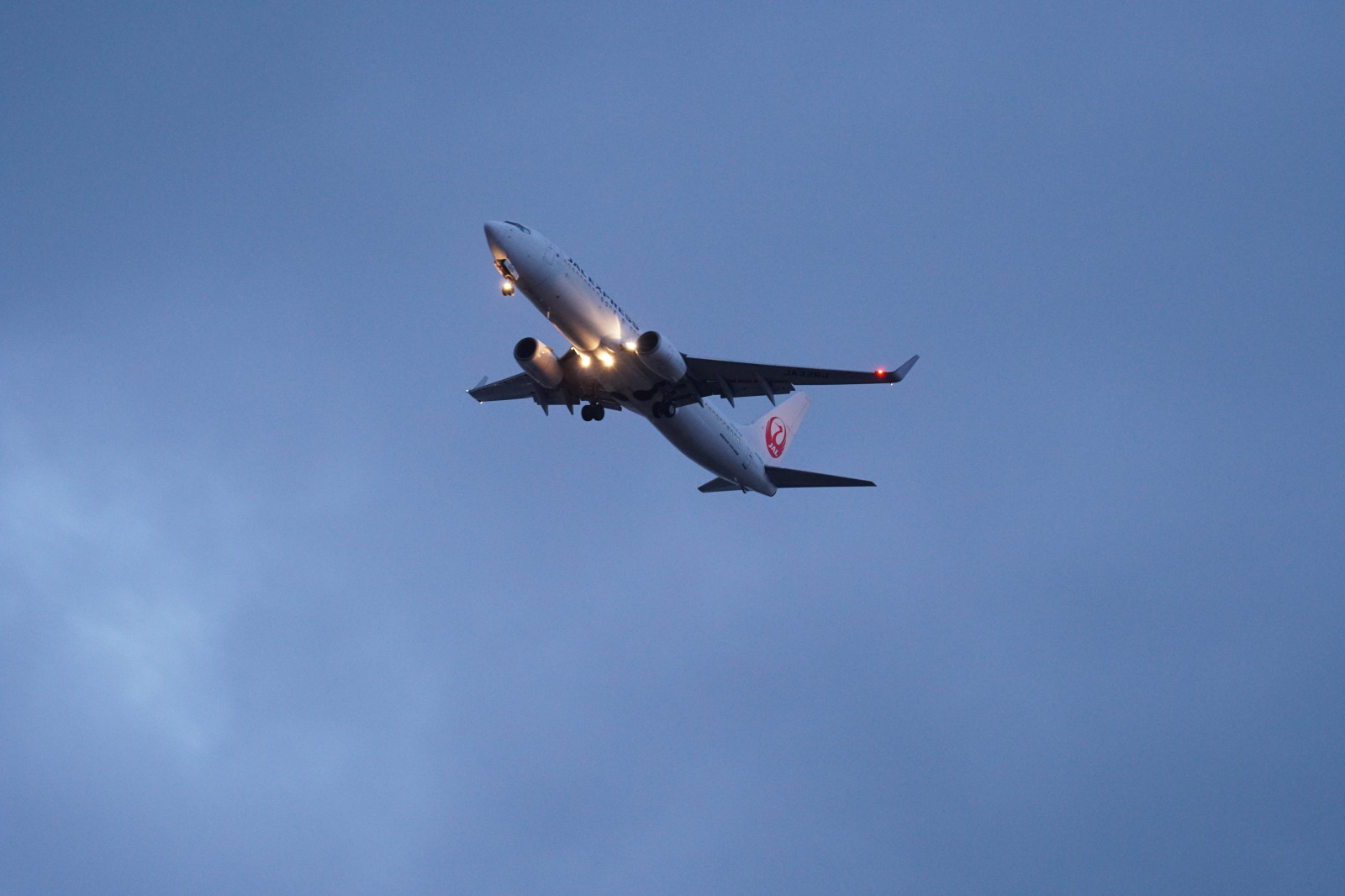 Japonsko, vozidlo, letoun, letadlo, Sony, Tokio, letectvo, Airbus A330, Let, Vzlétnout, letadlo, CC, letectví, křídlo, a6300, 6300, CreativeCommons, fe70200mm, fe70200mmf4goss, letecká linka, Atmosféra Země, Airshow, letecká akrobacie, letecký motor, letecká doprava, dopravní letoun linkový, širokým trupem letadla