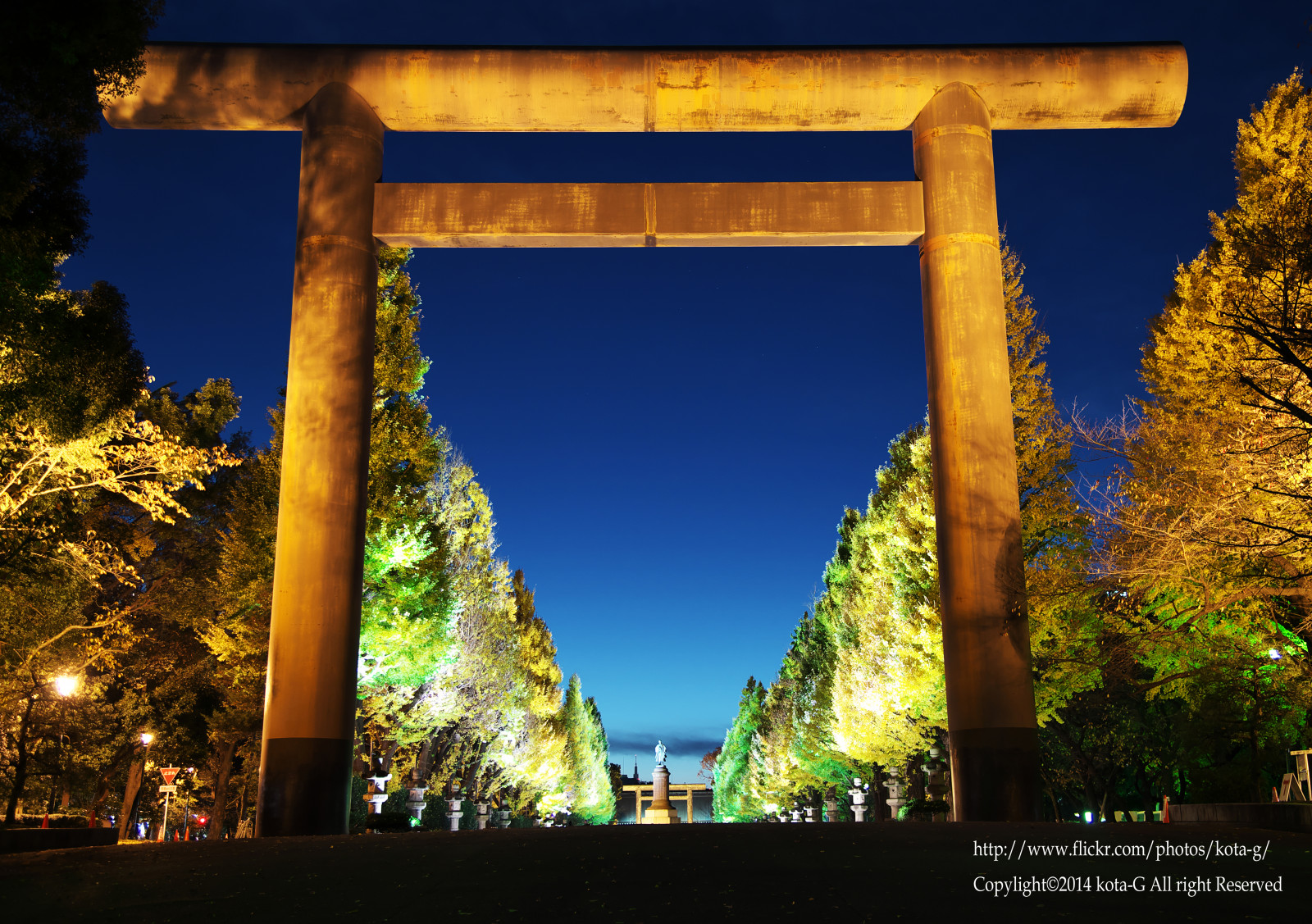 Japan, landskab, efterår, nat, arkitektur, Nikon, bue, Tokyo, lys, efterår, nightview, milepæl, ginkgo, Yasukuni, speciallighting, ginkgotree, D4S