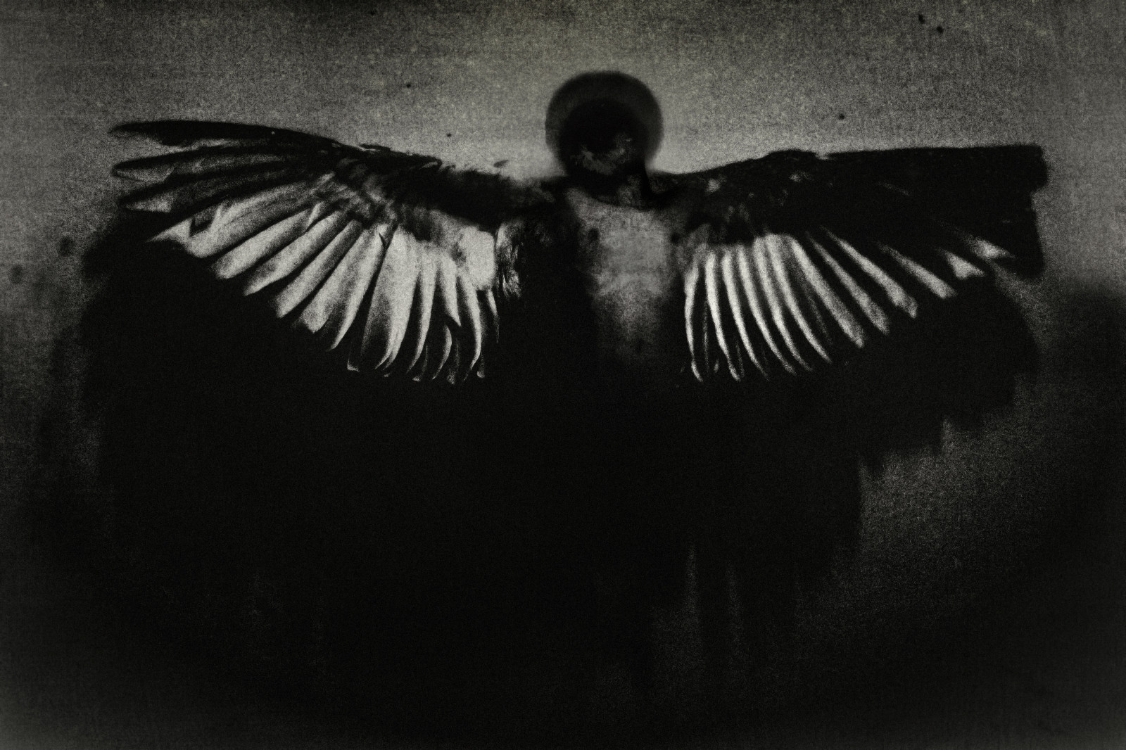 nero, monocromo, Ali, angelo, Om, uccello, ahimè, oscurità, ala, ser, hombre, bianco e nero, fotografia in bianco e nero, appollaiati uccelli, caro, Alado, Djinns, ngelca fare, annunakis
