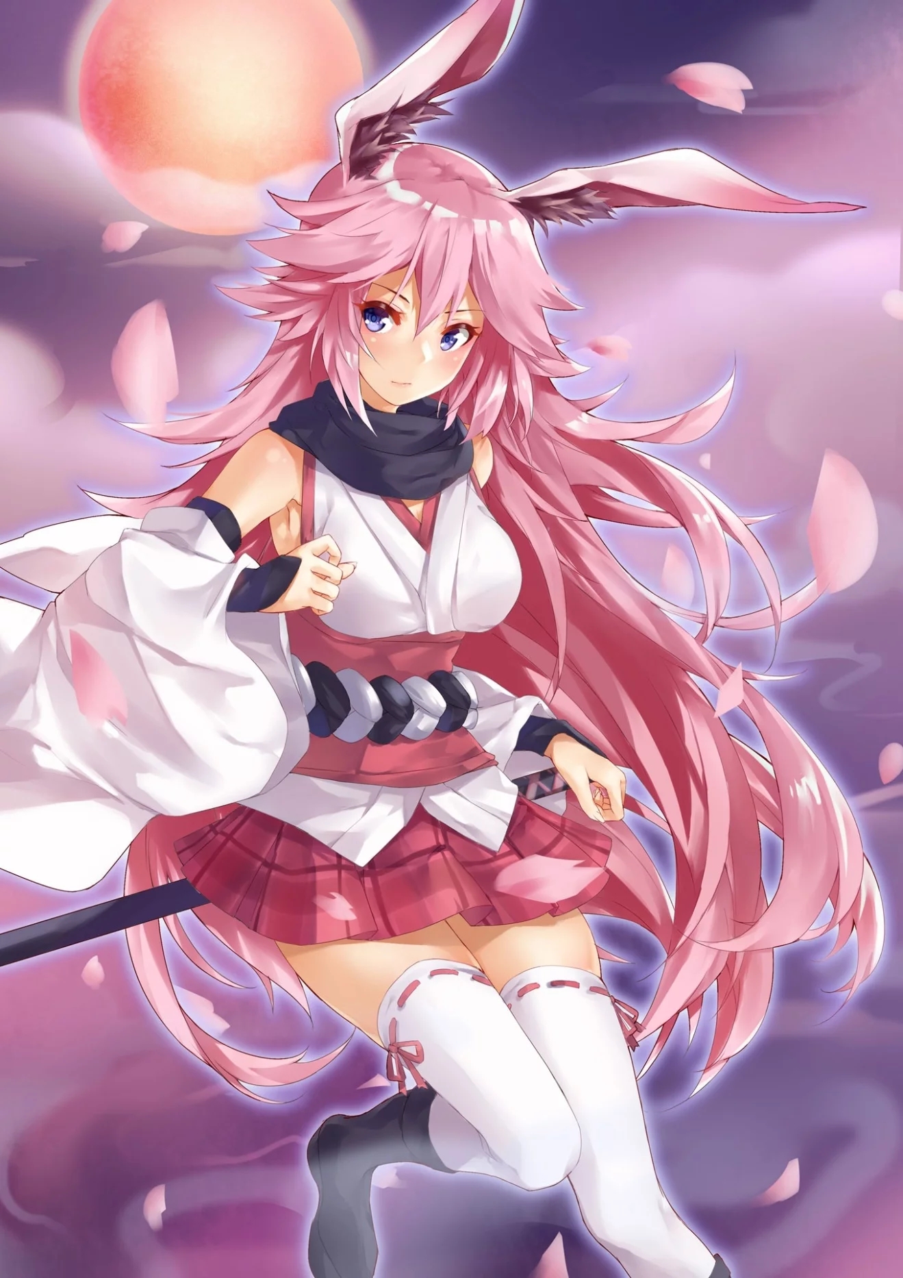 Honkai Impact 3rd, Honkai Impact