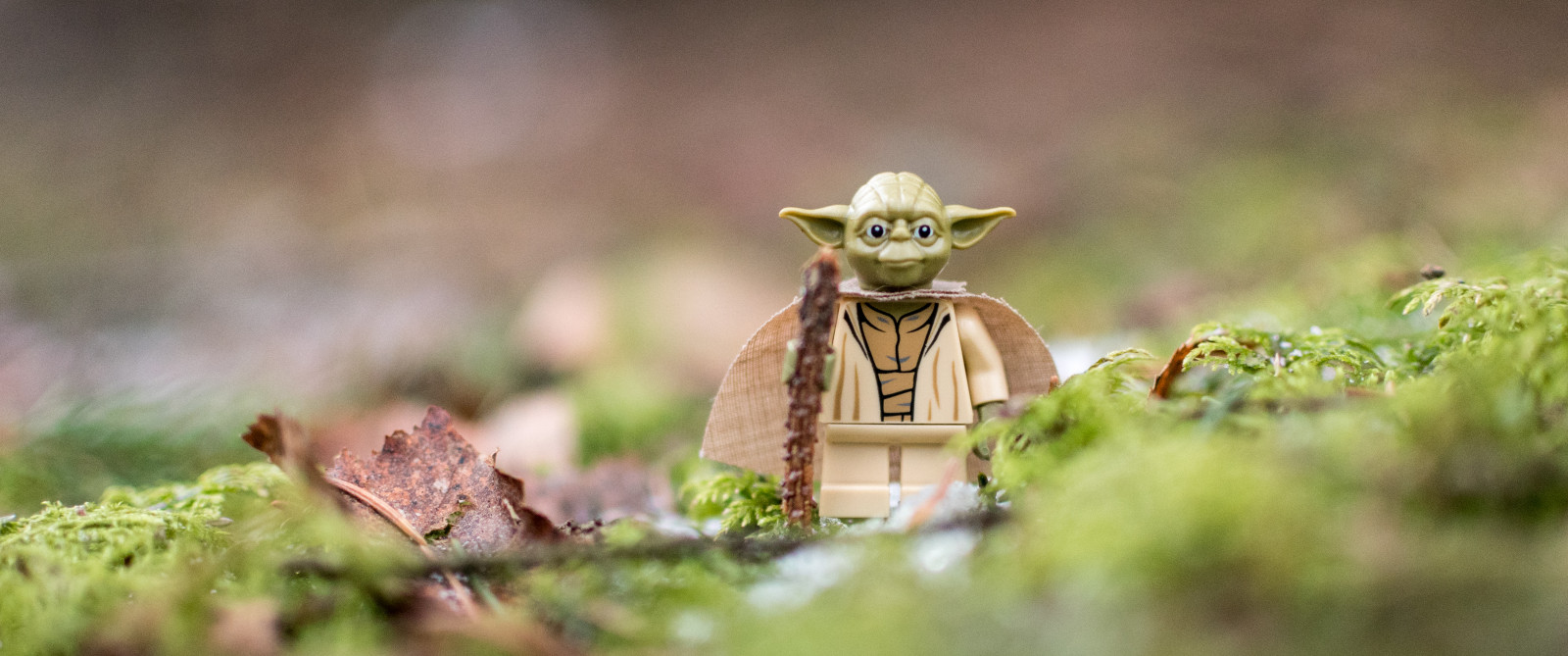 18, 35MM, D500, dSLR, Finsko, les, LEGO, legography, objektiv, minifig, minifigure, mech, Nikon, fotografování, primární, reiterlied, hvězdné války, stuckinplastic, Hračka, dřevo, Yoda