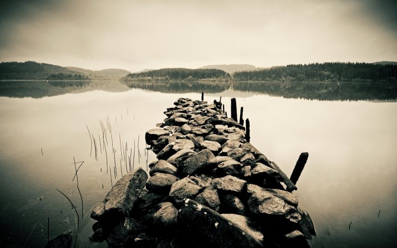 krajina, západ slunce, moře, slunečnímu záření, stromy, černobílý krajina, západ slunce, moře, slunečnímu záření, stromy, černobílý