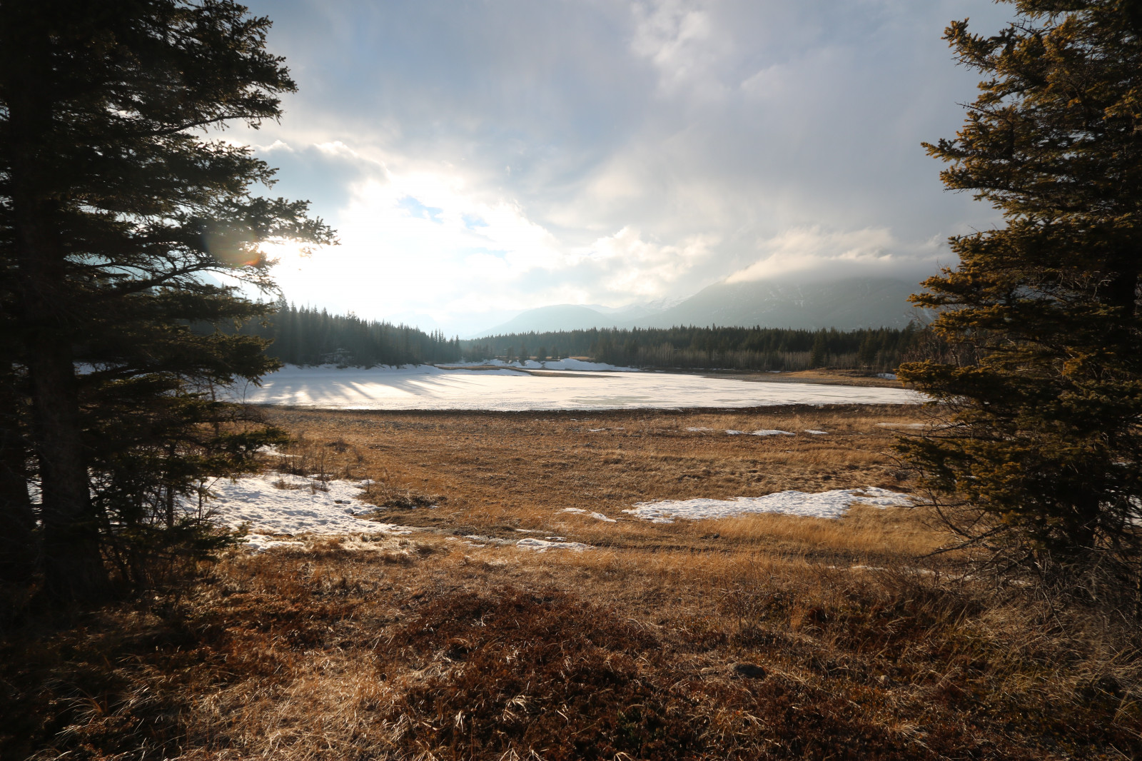 luk, údolí, Alberta, Kanada, střední, jezero, Yates, hora, Únor, 2017