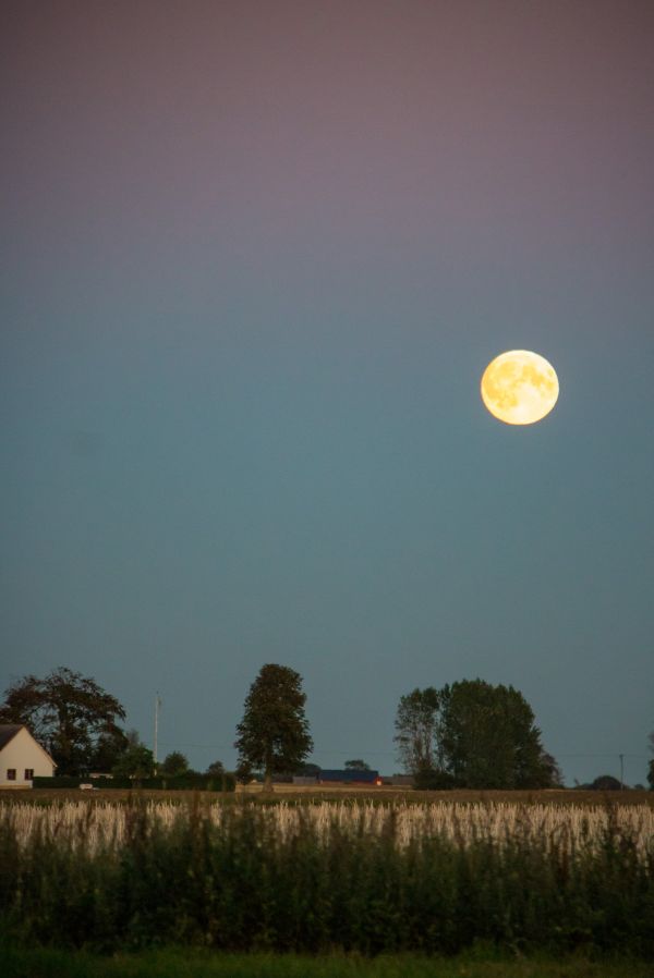 sunlight,landscape,sky,Moon,morning,horizon