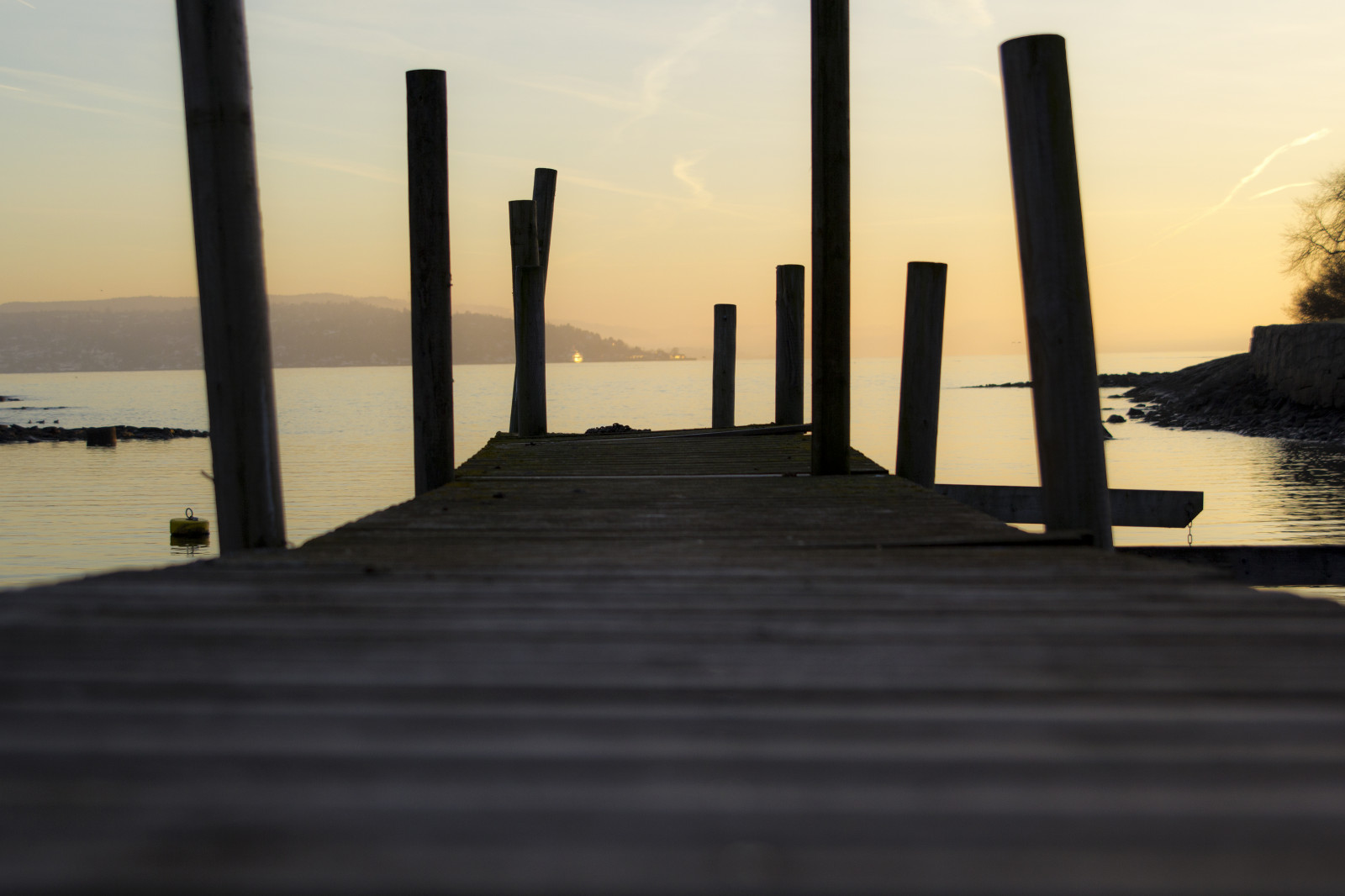 Wallpaper winter, sunset, sea, mist, hot, cold, tree, nature, water