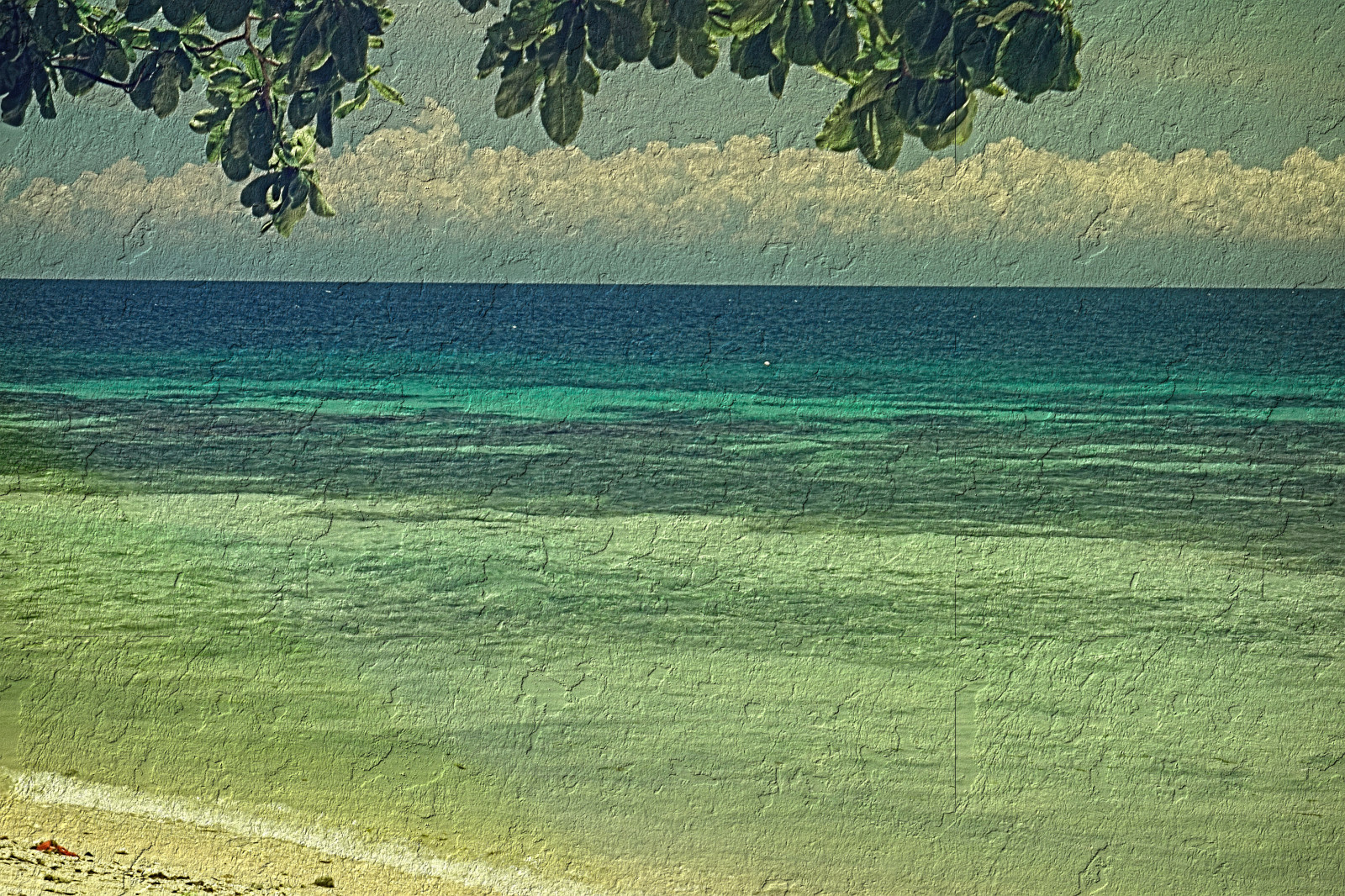 Зеленое море фото