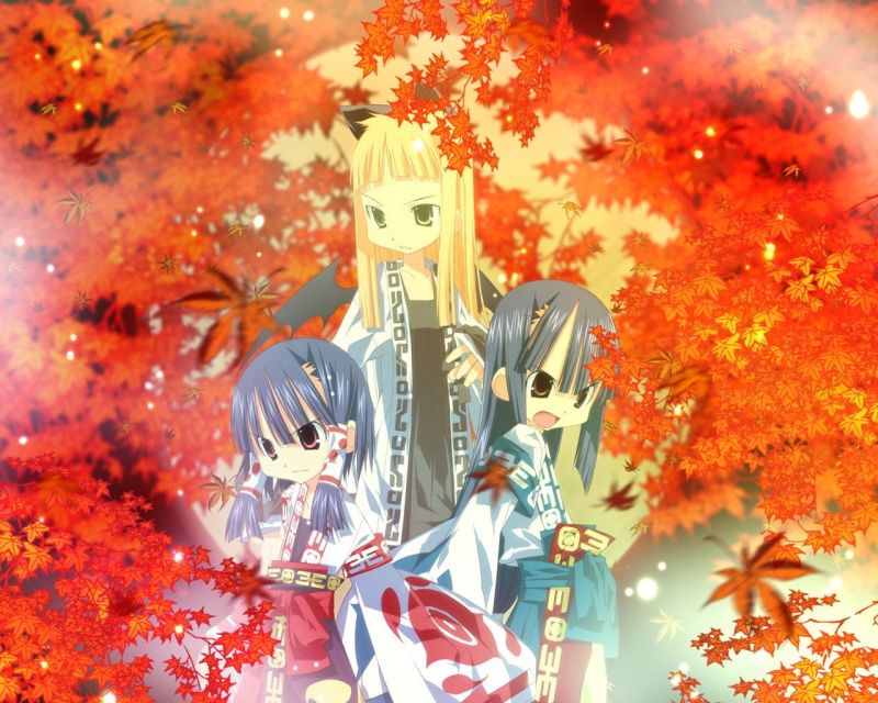 gadis, kimono, musim gugur gadis, kimono, musim gugur