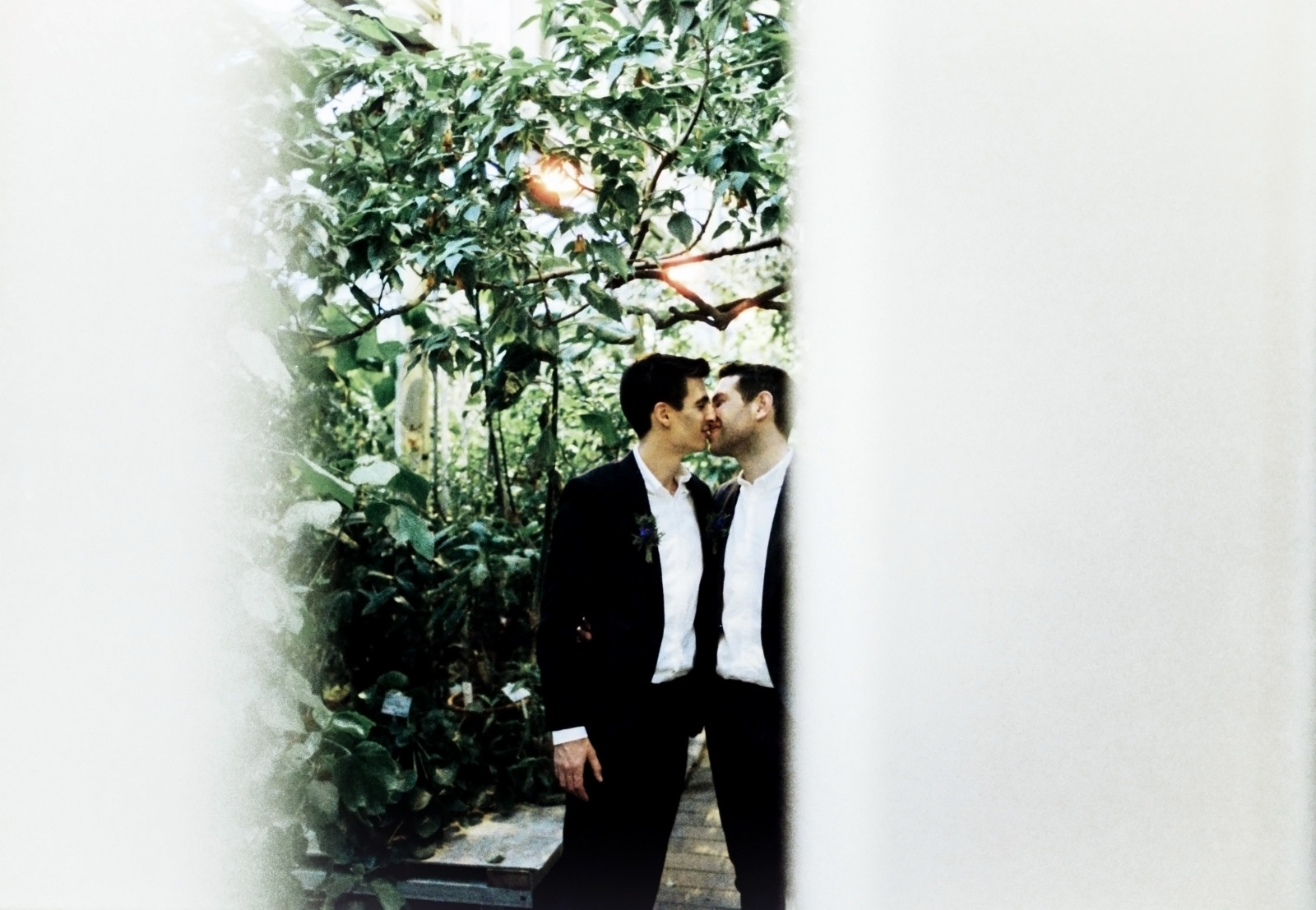 svatba, světlo, film, okno, analogový, 35MM, Kodaň, zahrada, botanický, oči, Zavřeno, fotoaparát značky kodak, mít, 400, klidný, CPH, portra, k benhavn, Botanisk, canon1v