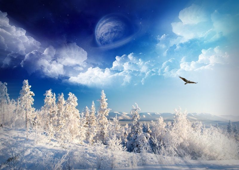 sunlight, landscape, nature, sky, snow, winter sunlight, landscape, nature, sky, snow, winter