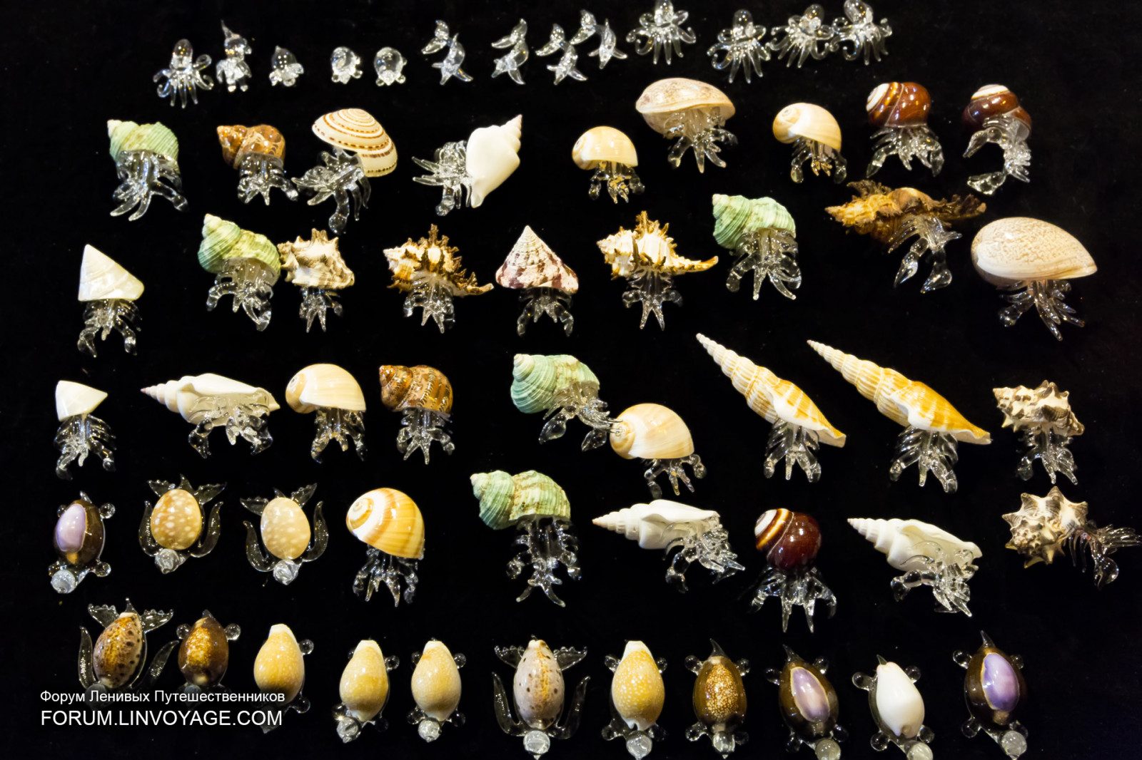 lidé, jídlo, ulice, noc, architektura, text, sklenka, vzor, město, ostrov, Thajsko, chůze, Neděle, UMĚNÍ, světlo, květ, trh, venkovní, dívka, osvětlení, design, phuket, phuketian, vw, slavit, dav, ruční, phuketphotographernet, forumlinvoyagecom, httpforumlinvoyagecom