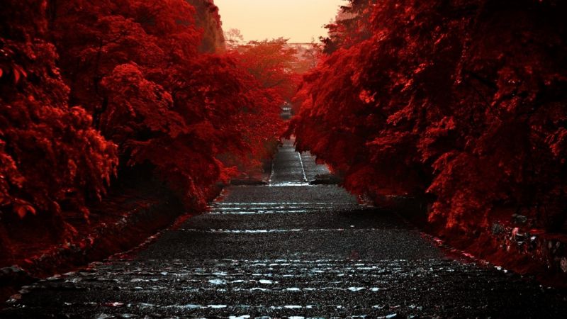 night, nature, red, evening, light, reflection night, nature, red, evening, light, reflection
