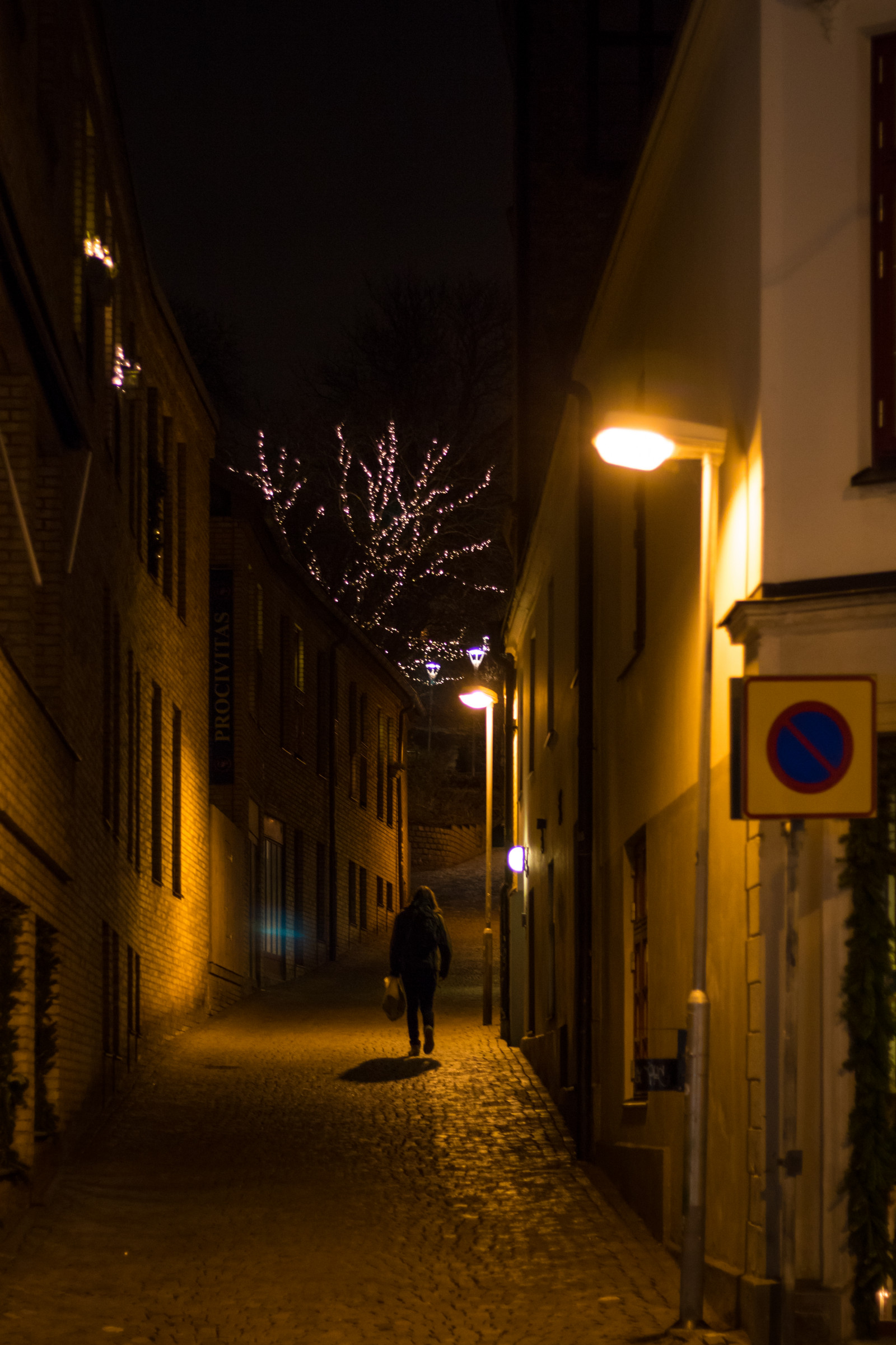 pouliční osvětlení, ulice, noc, silnice, večer, Vánoce, infrastruktura, světlo, barva, alej, Vánoce, osvětlení, dekorace, července, helsingborg, tvar, belysning, tma, urban area