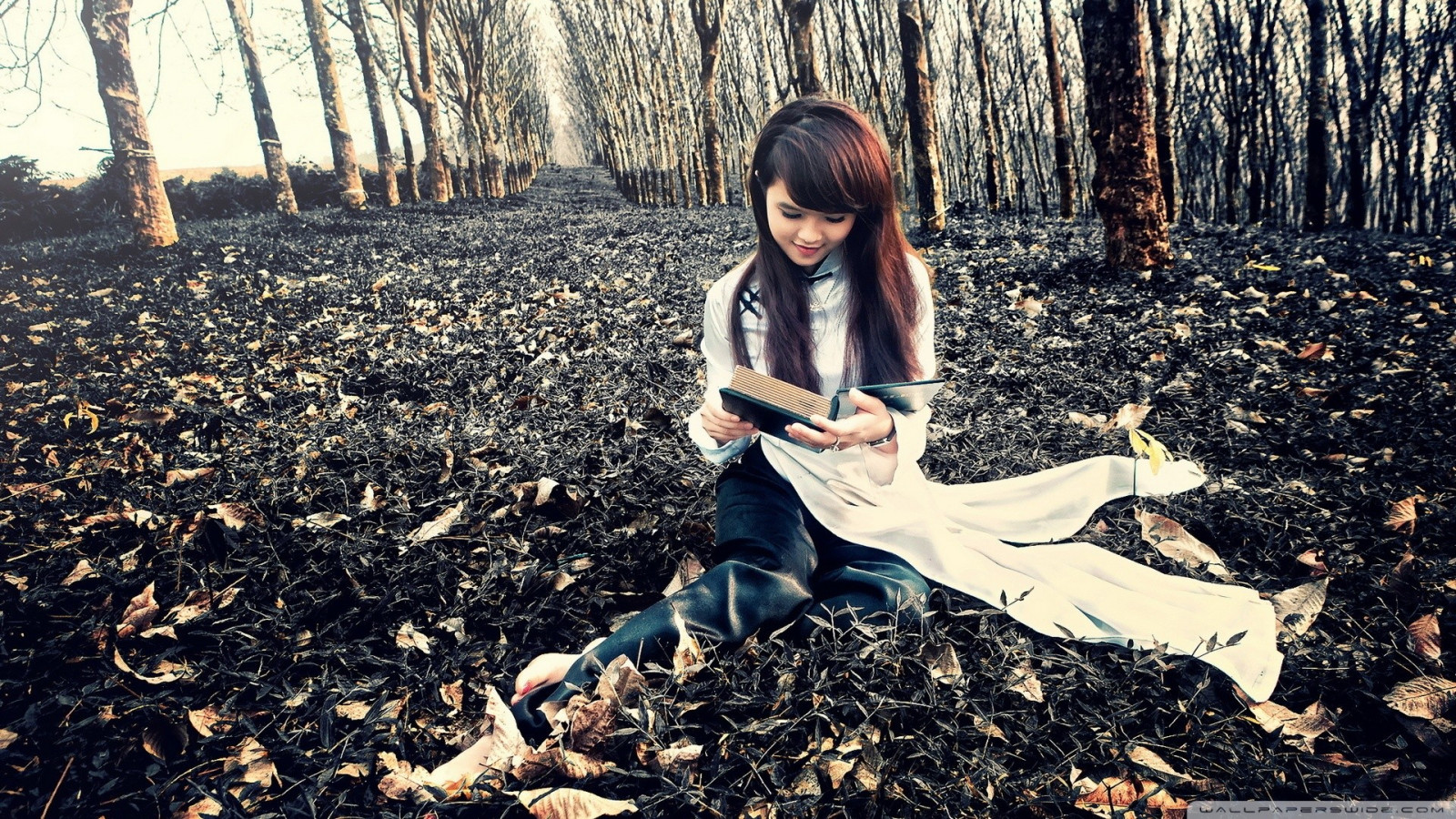 les, lidé, ženy, bruneta, asijský, jaro, vietnamština, o d i, strom, podzim, list, květ, sezóna, obraz, půda