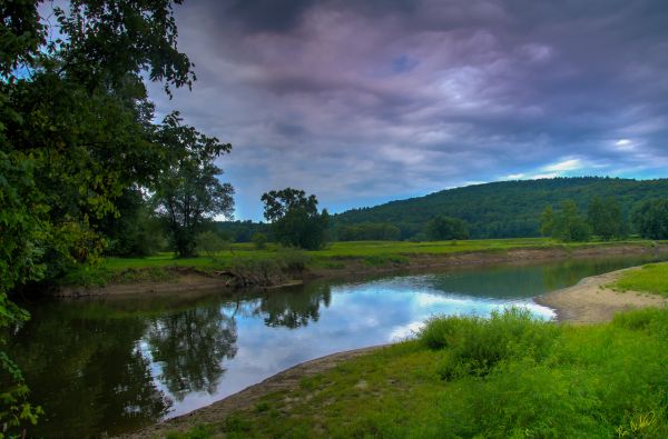 trees, landscape, lake, water, nature, hill