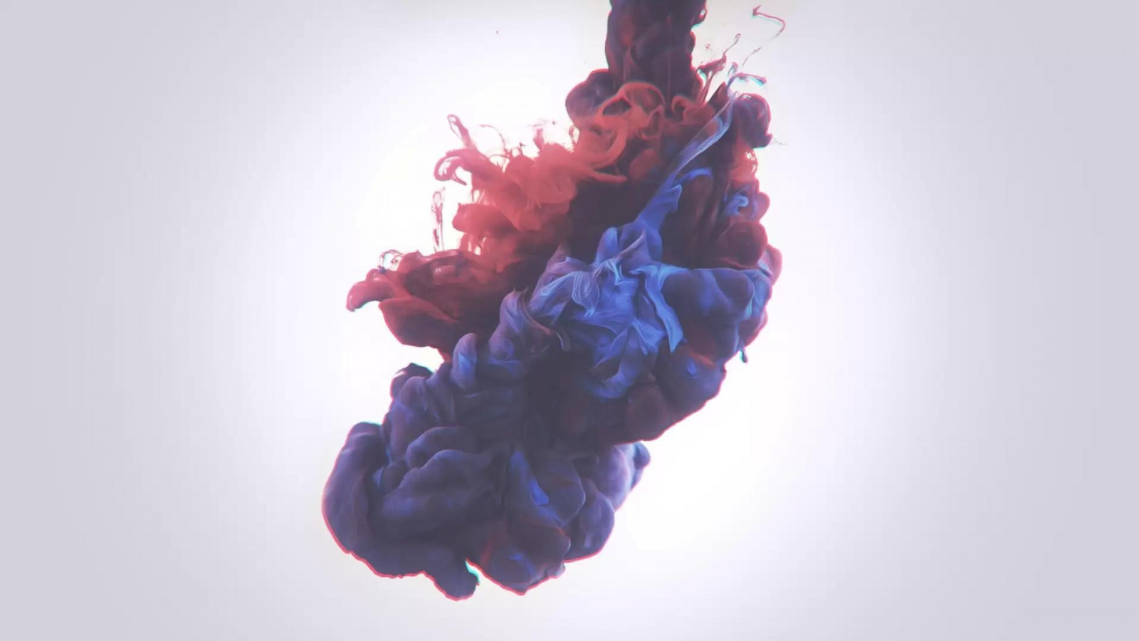 rød, blå, væske, maling i vann, Alberto Seveso, farge, blomst, petal, organ