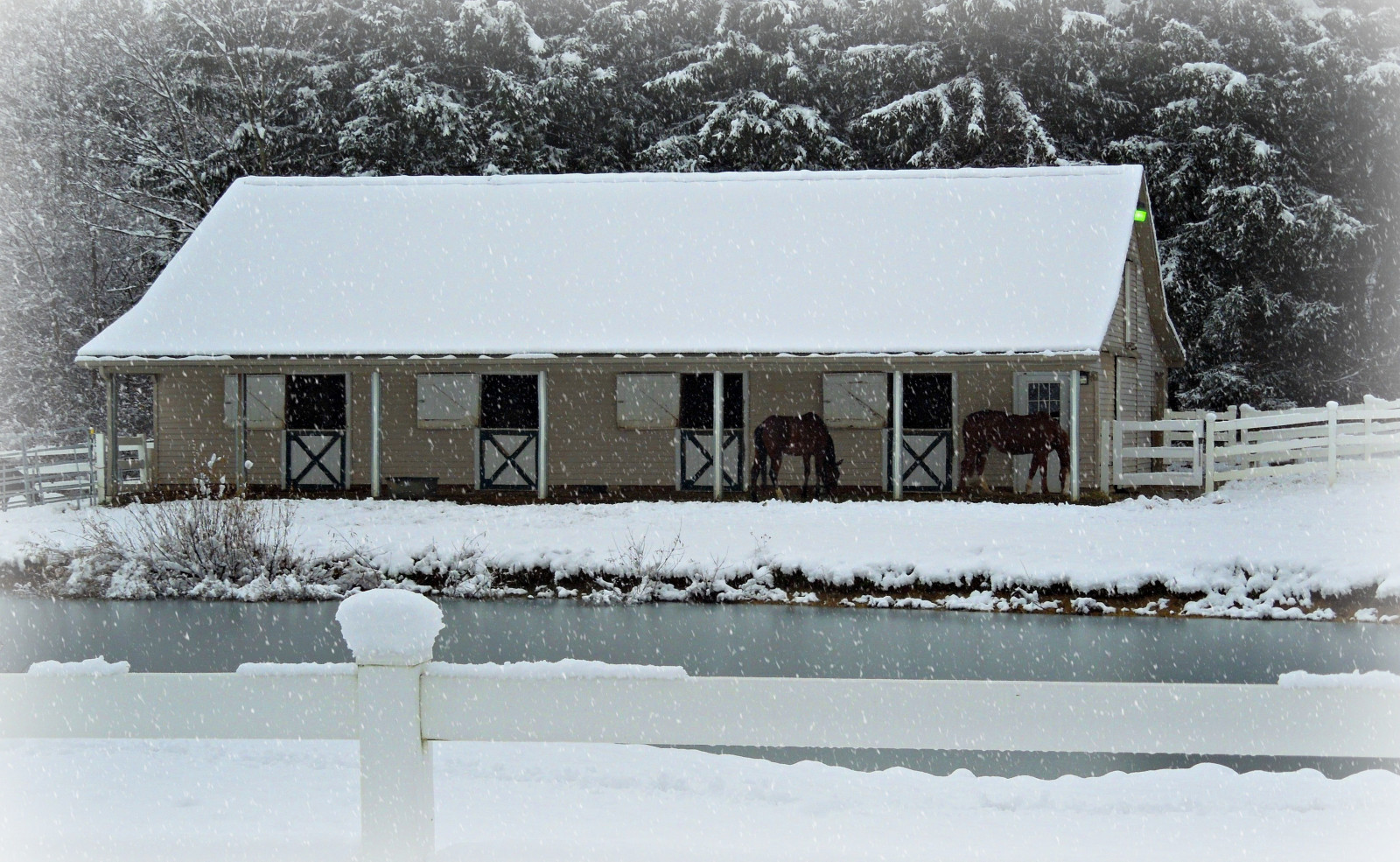 หน้าต่าง, ทะเลสาบ, ม้า, หิมะ, ฤดูหนาว, บ้าน, ยุ้งข้าว, รั้ว, บ่อน้ำ, การแช่แข็ง, กระท่อม, โอไฮโอ, ม้า, บ้าน, หิมะตก, พายุหิมะ, ประตู, portagecountyohio, suffieldohio, pinetrees, พายุฤดูหนาว, fencefriday, snowcovered, ม้า