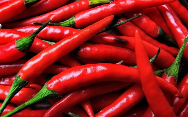 food,red,spices,Pepper,Chile,sharp