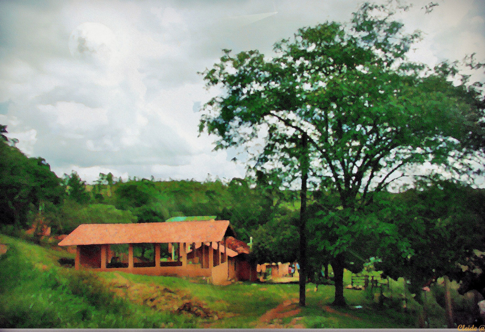 stromy, krajina, Photoshop, pole, Dům, hospodařit, džungle, Brazílie, mír, lesklý, exotický, majetek, 2012, UMĚNÍ, strom, fotografie, awardtree, thegalaxy, rememberthatmomentlevel1, rememberthatmomentlevel2, brasilemimagens, netartii, artdigital, venkov, sotn, cleide, sweetmoment