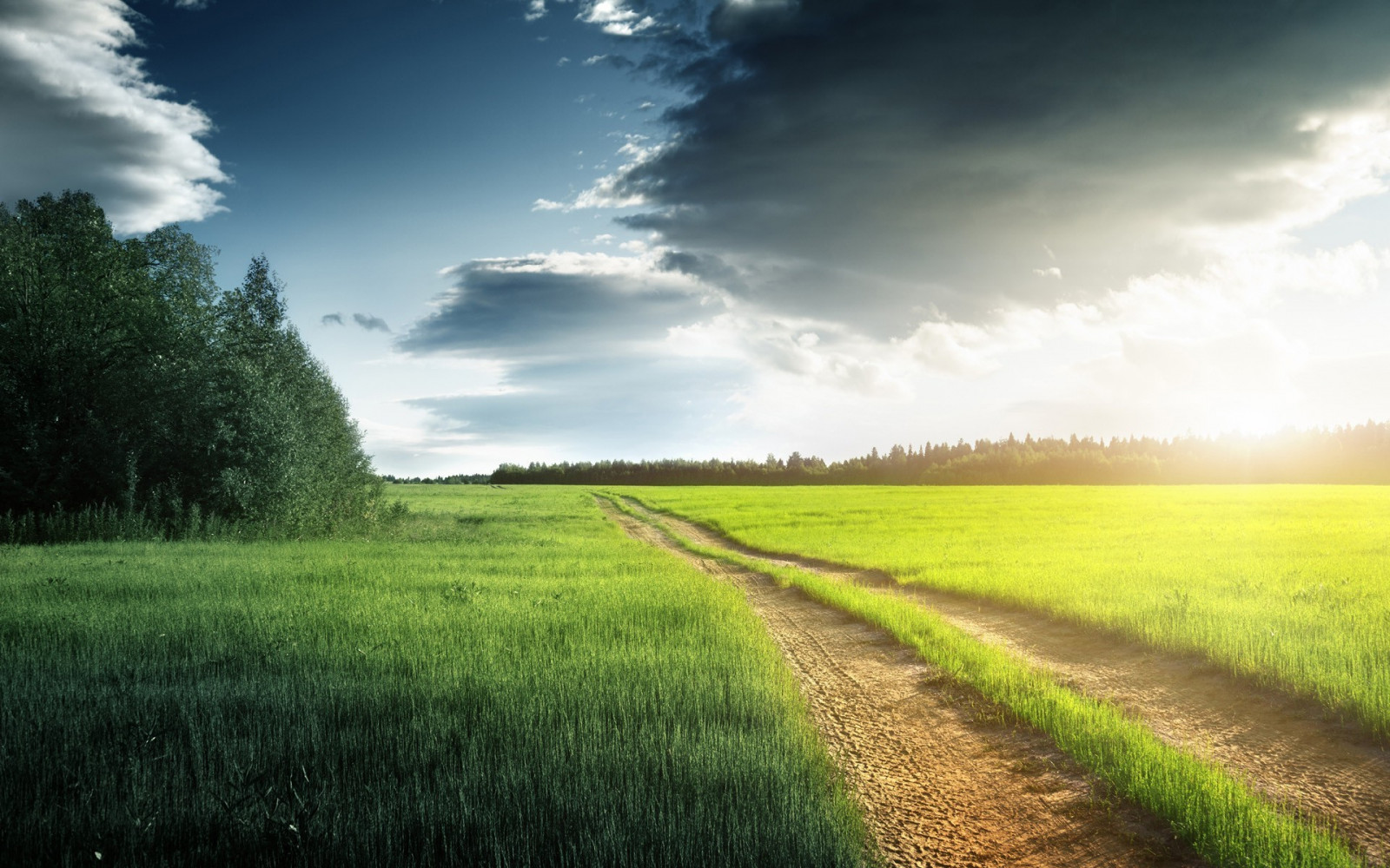 Sfondi Luce Del Sole Paesaggio Natura Cielo Campo Strada Verde 