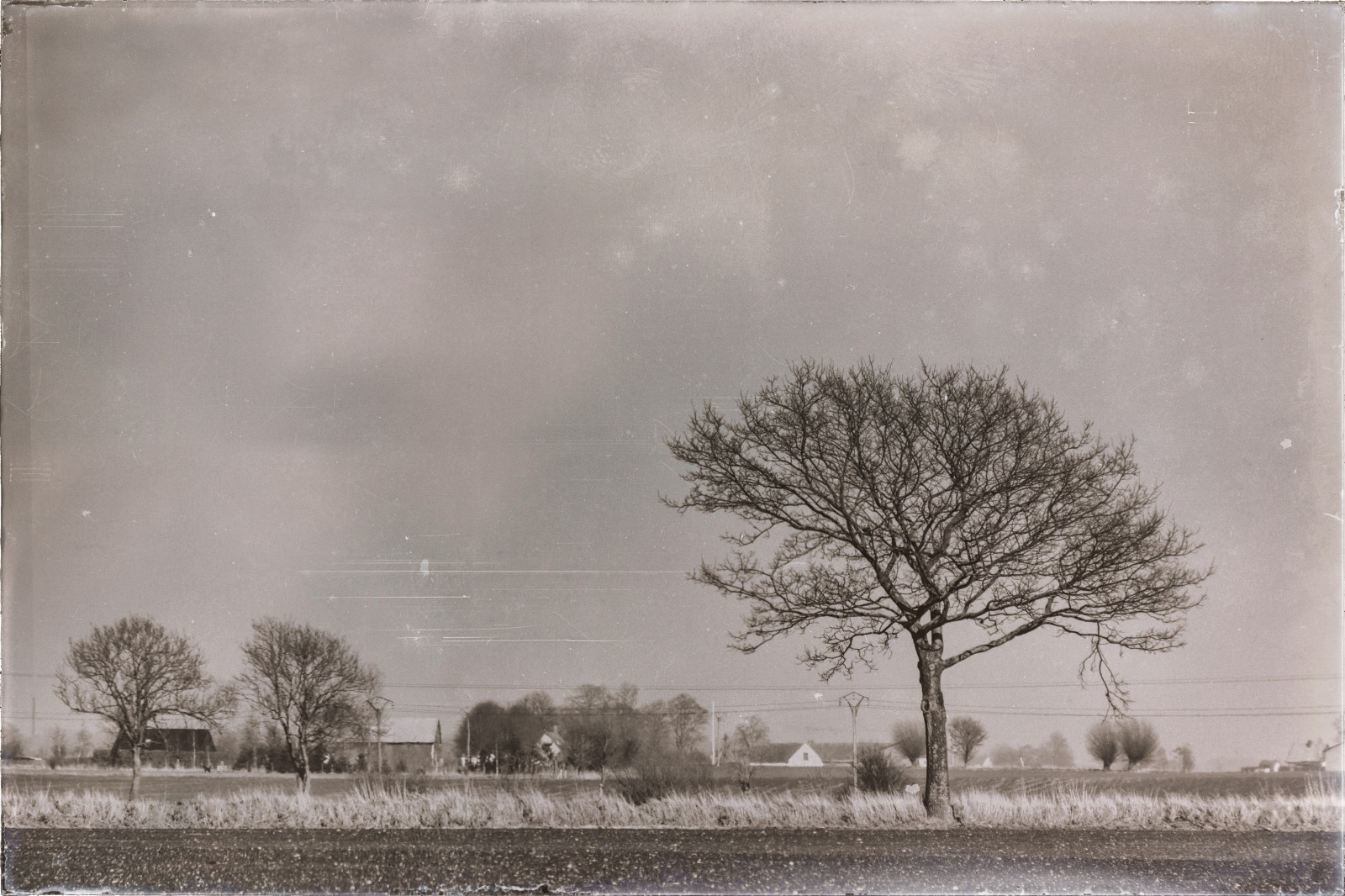 krajina, sníh, zima, ráno, mráz, zmrazení, Černý a bílý, strom, počasí, sezóna, tělesné, tr d, venkov, svartvitt, landsbygd, s dersl tt, landskap, atmosférický jev, zimní bouře