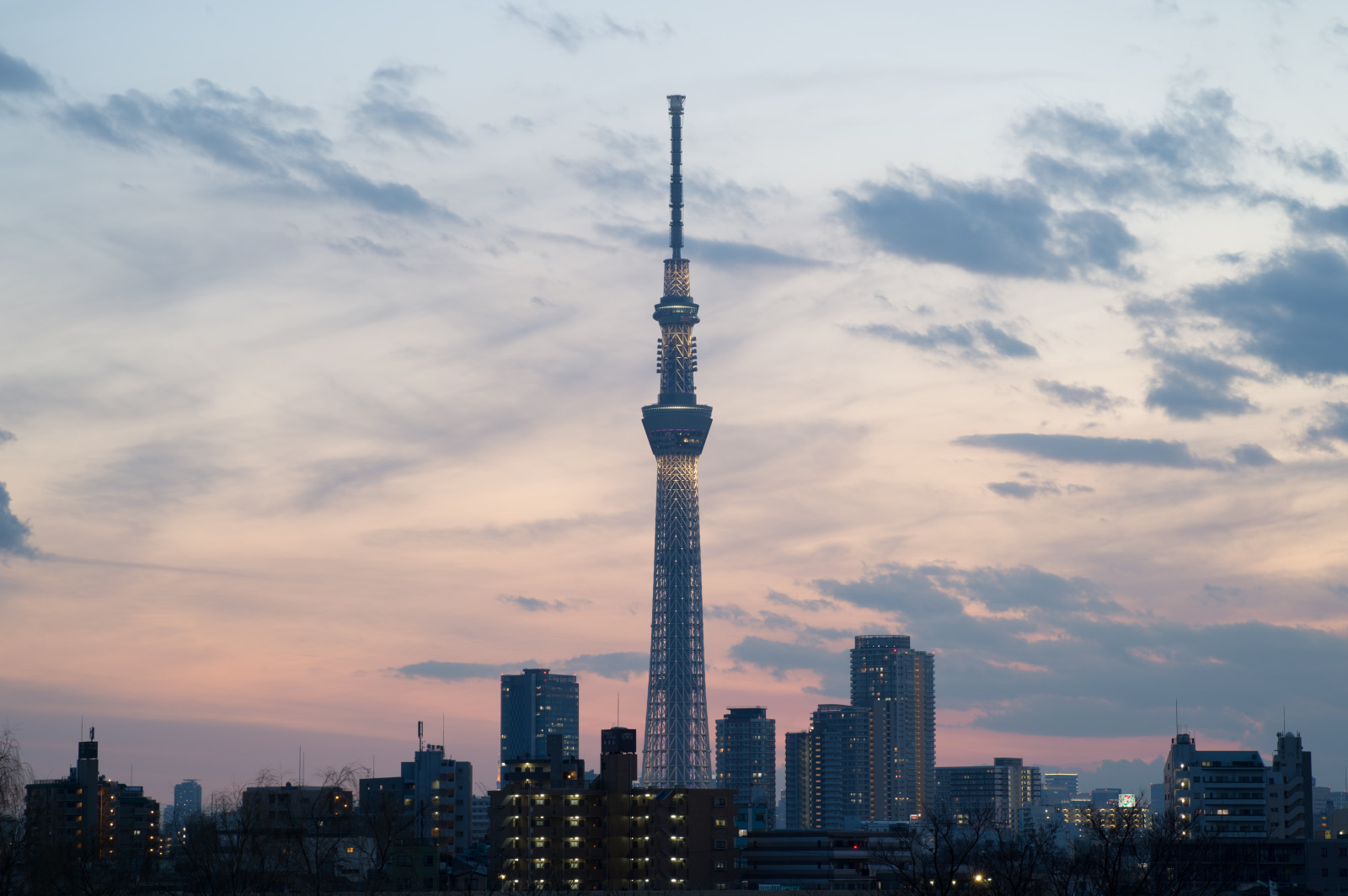 Japan, solnedgang, by, bybilledet, nat, arkitektur, himmel, skyline, skyskraber, aften, tårn, horisont, Nikon, skumring, metropol, Tokyo, Spir, Jp, Skytree, Sky, downtown, NIKKOR, daggry, belyst, belysning, milepæl, Tokyo Skytree, afs105mmf14eed, afsnikkor105mmf14eed, df, Miyabi, byområde, atmosfære af jord, hovedstadsområde, menneskelig bosættelse, højhus