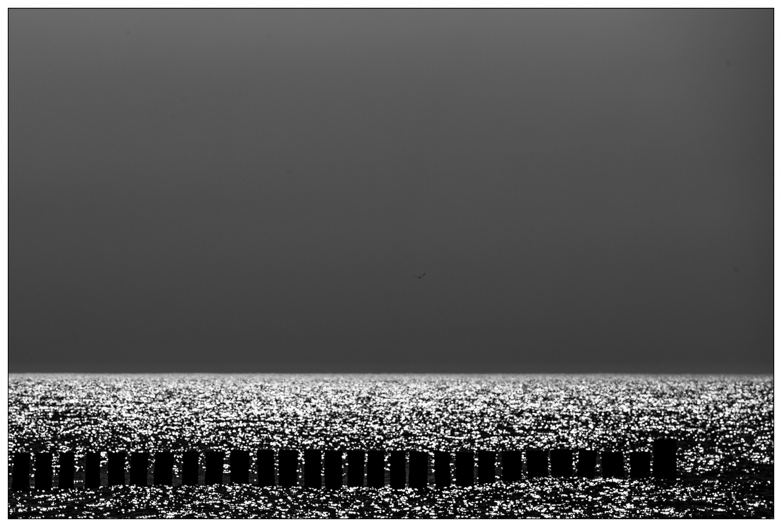 Leica, Urlaub, M, Ahrenshoop, Weststrand, Fischland, Meclemburgo-Pomerania Anteriore, M240, DARS