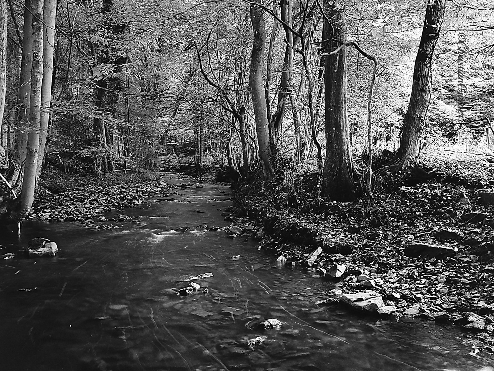 flus, langzeitbelichtung, krajiny, Landschaft, lostplace, zenzabronica, czarnobiale, Černý a bílý, tělesné, schwarzweisfotografie, schwarzweis, SW, mediumformat, černobílý, nRW, Niemcy, analogový, film, fotoaparát značky kodak, kodak400tx, eifel, 645, 120, ROLLFILM, Německo, deutschland, Německo, longtimeexposure, voda, wasser, natur, longexposure, Wald
