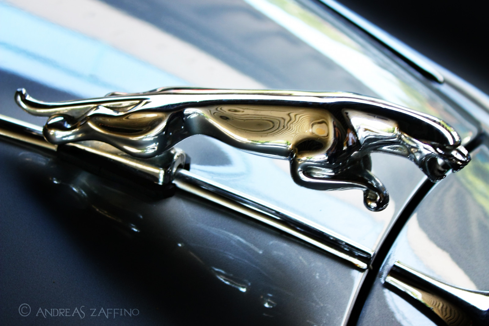 gammel, bil, briller, køretøj, fotografering, glas, metal, britisk, tech, Jaguar, Oldtimer, ydeevne bil, KUNST, lys, farve, ny, Foto, hjul, timeren, fotografie, fotos, metallisk, andreas, teknik, Zaffino, jord køretøj, bildesign, automotive exterior, bil make, luksus køretøj