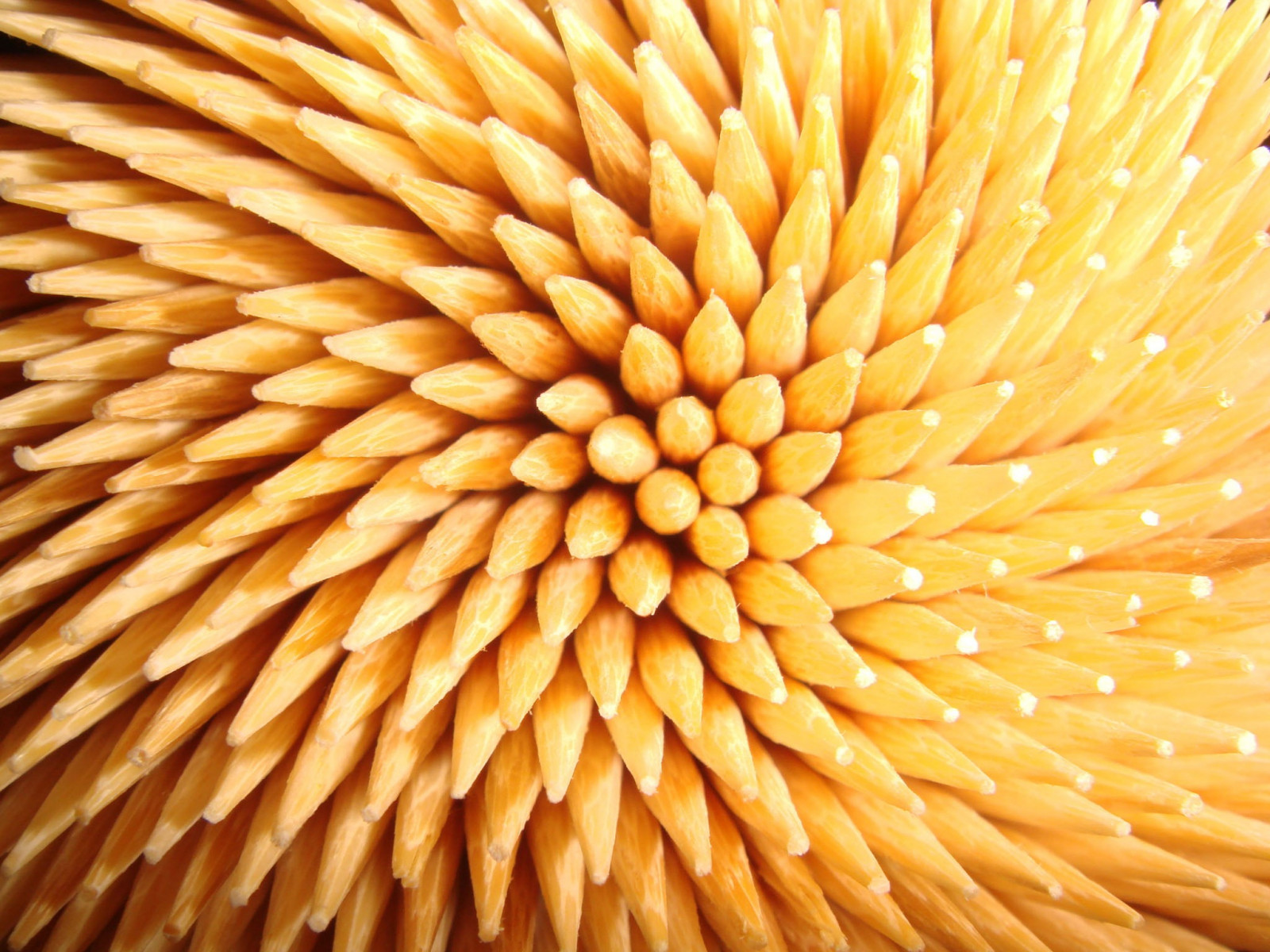 jídlo, žlutý, Fibonacci sekvence, list, květ, rostlina, okvětní lístek, kuchyně, suchozemská rostlina, kvetoucí rostlina, zblízka, makro fotografie, tráva rodina, vegetariánské jídlo, daisy rodina, chrysanths, slunečnicové semeno