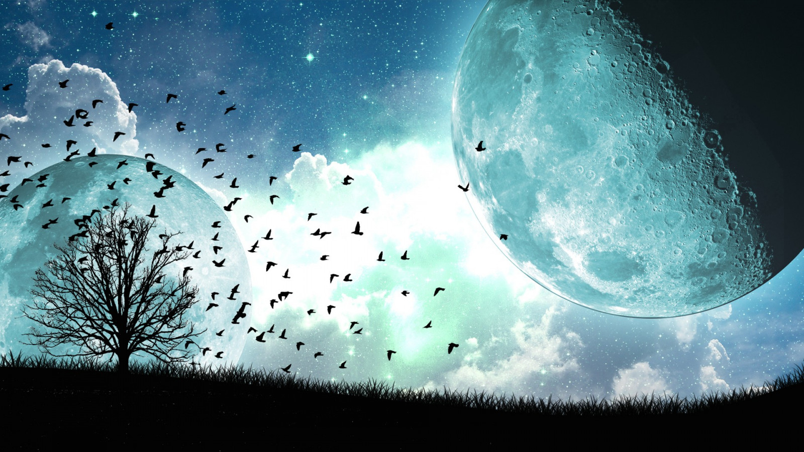 Árboles, aves, noche, espacio, estrellas, Nubes, Luna, atmósfera, 1920x1080 px, Papel pintado de la computadora, espacio exterior, Objeto astronómico