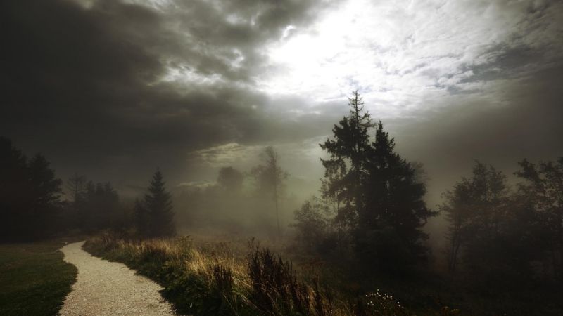 slunečnímu záření, stromy, krajina, les, Příroda, nebe slunečnímu záření, stromy, krajina, les, Příroda, nebe