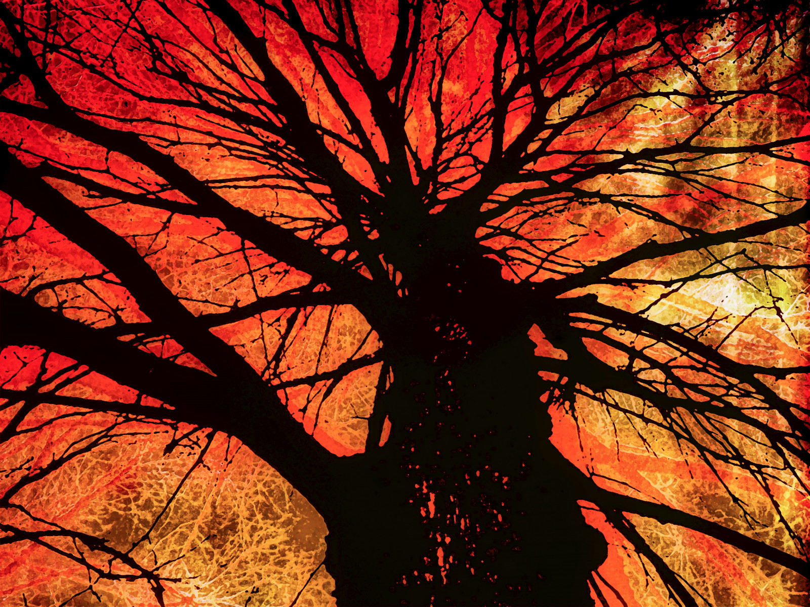 strom, textura, texturized, tatot, blinkagain