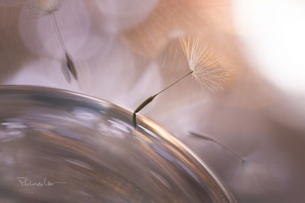 reflection,glass,lights,water,photography,macro
